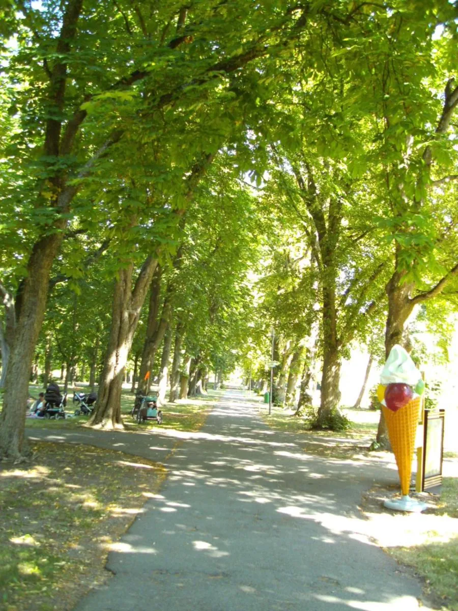 Natural landscape in Reichels Parkhotel