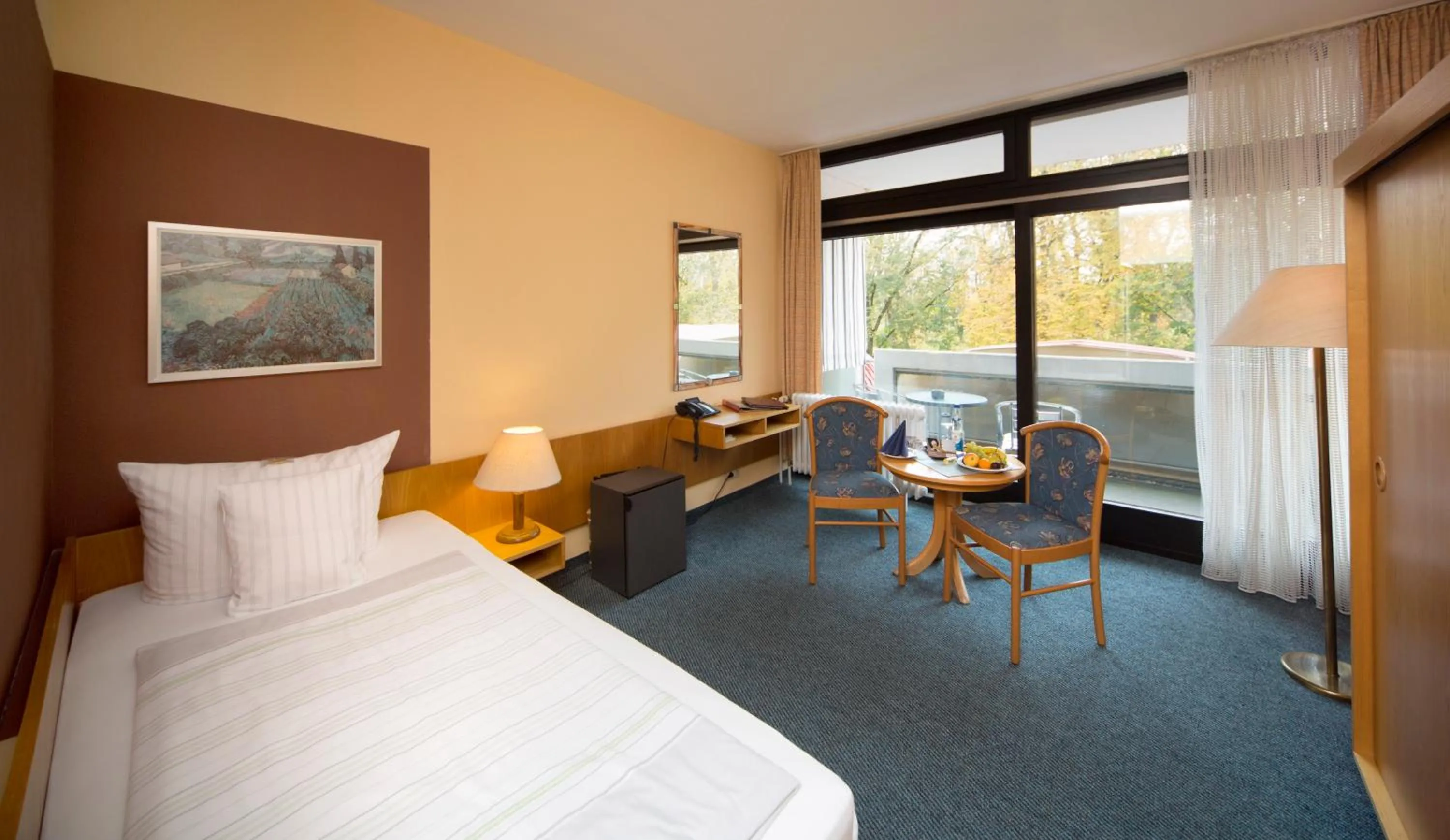 Large Single Room - single occupancy in Reichels Parkhotel