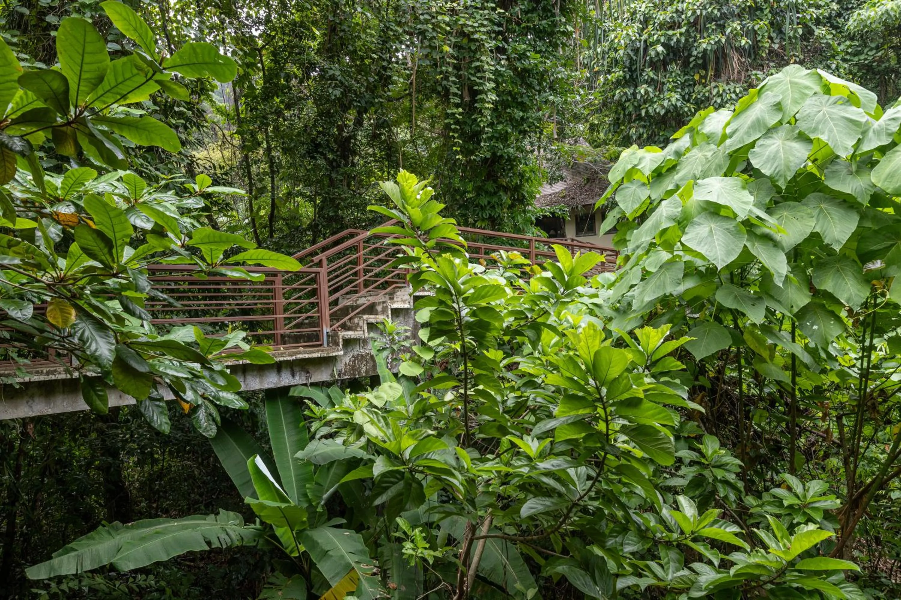 Spring in Khaolak Wanaburee Resort - SHA Extra Plus