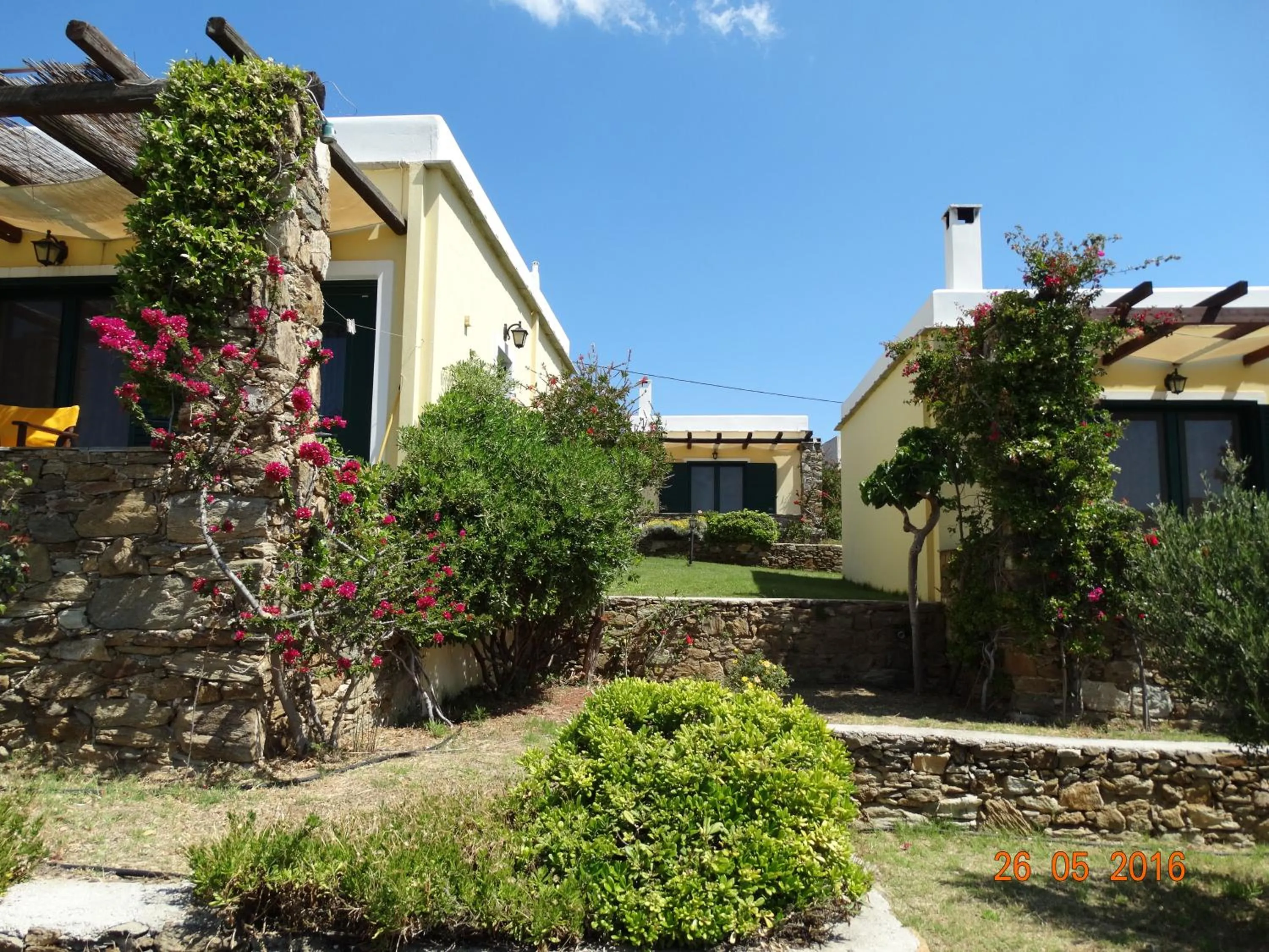 Garden in Ktima Nikola