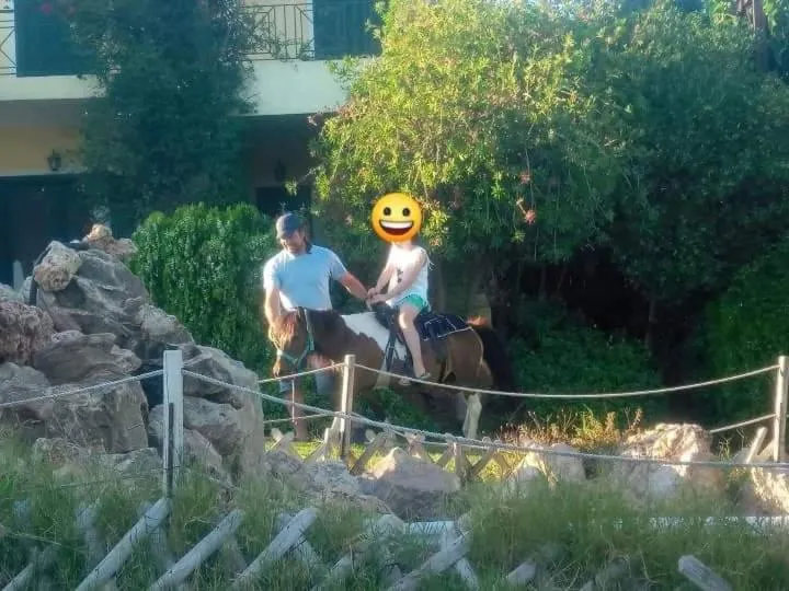 Activities in Ktima Nikola