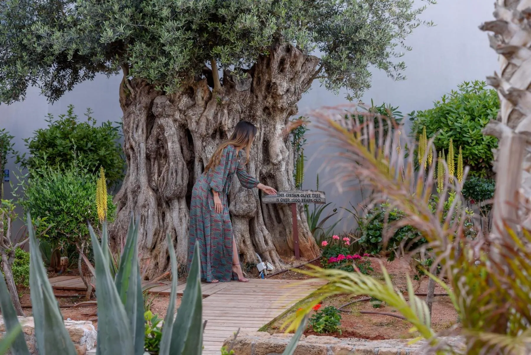 Garden in Lyttos Beach