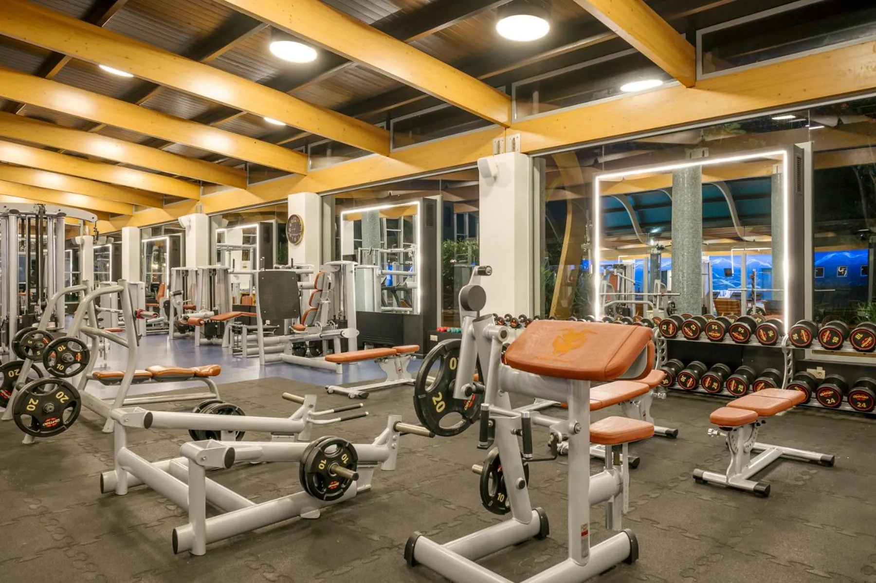 Fitness centre/facilities in Lyttos Beach
