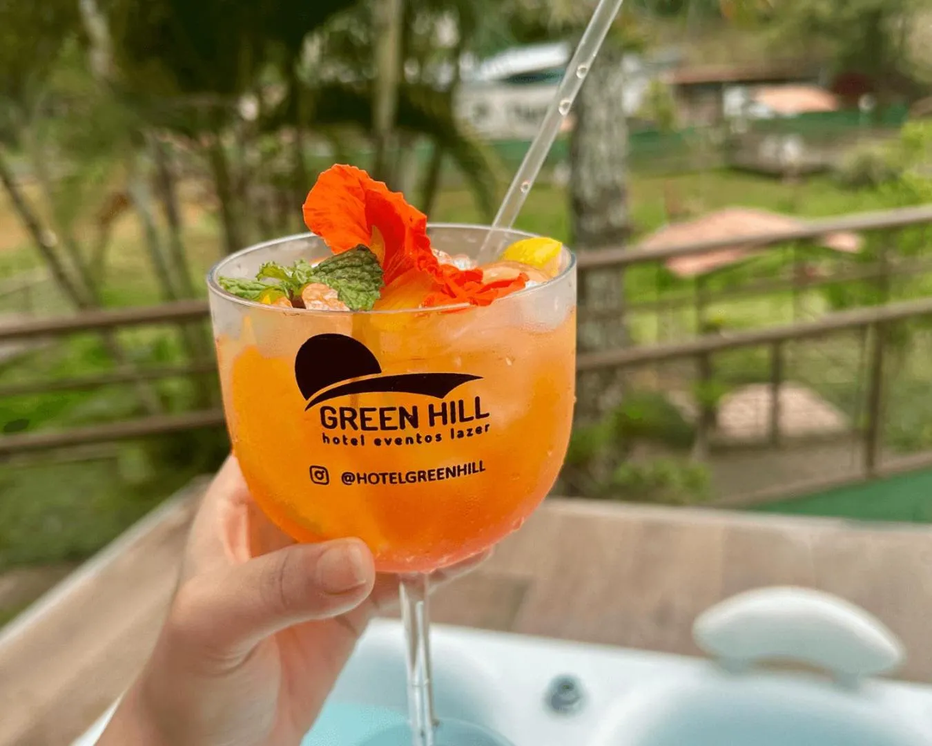 Garden in Hotel Green Hill