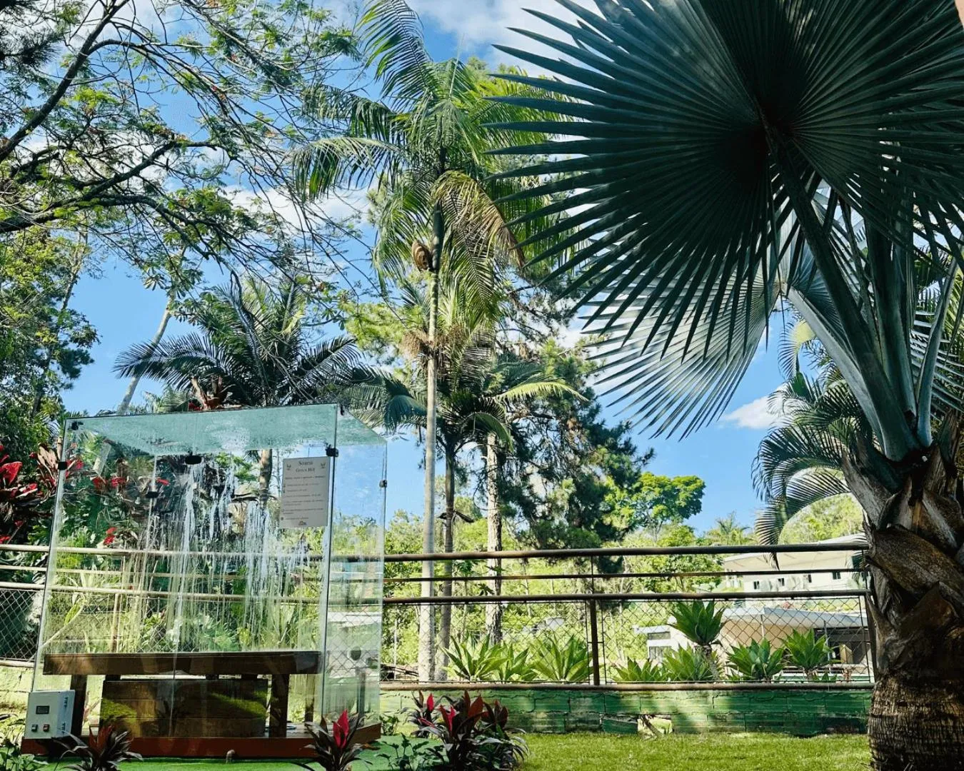 Garden in Hotel Green Hill