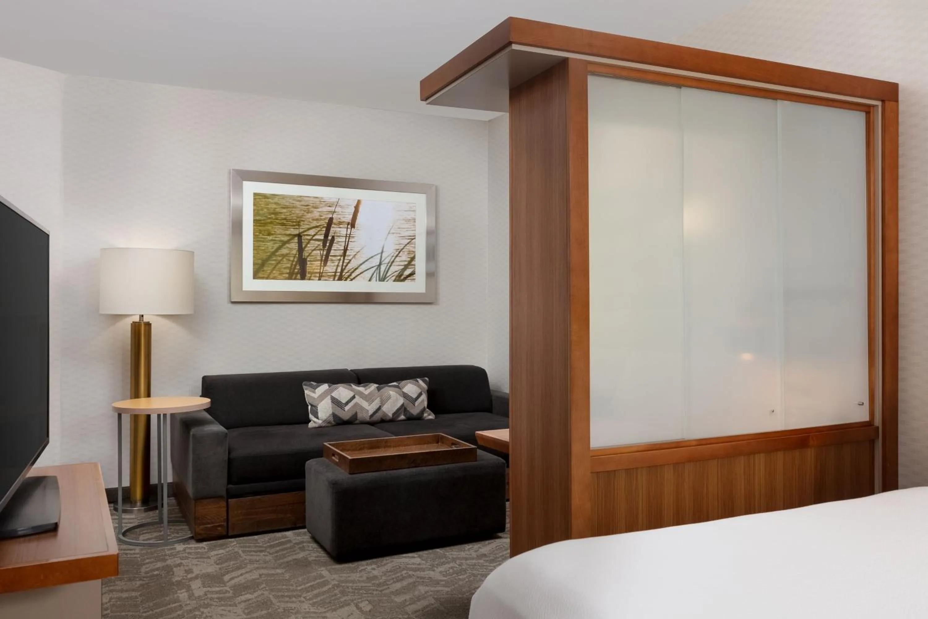 Living room, Bed in SpringHill Suites by Marriott Grand Junction Downtown/Historic Main Street