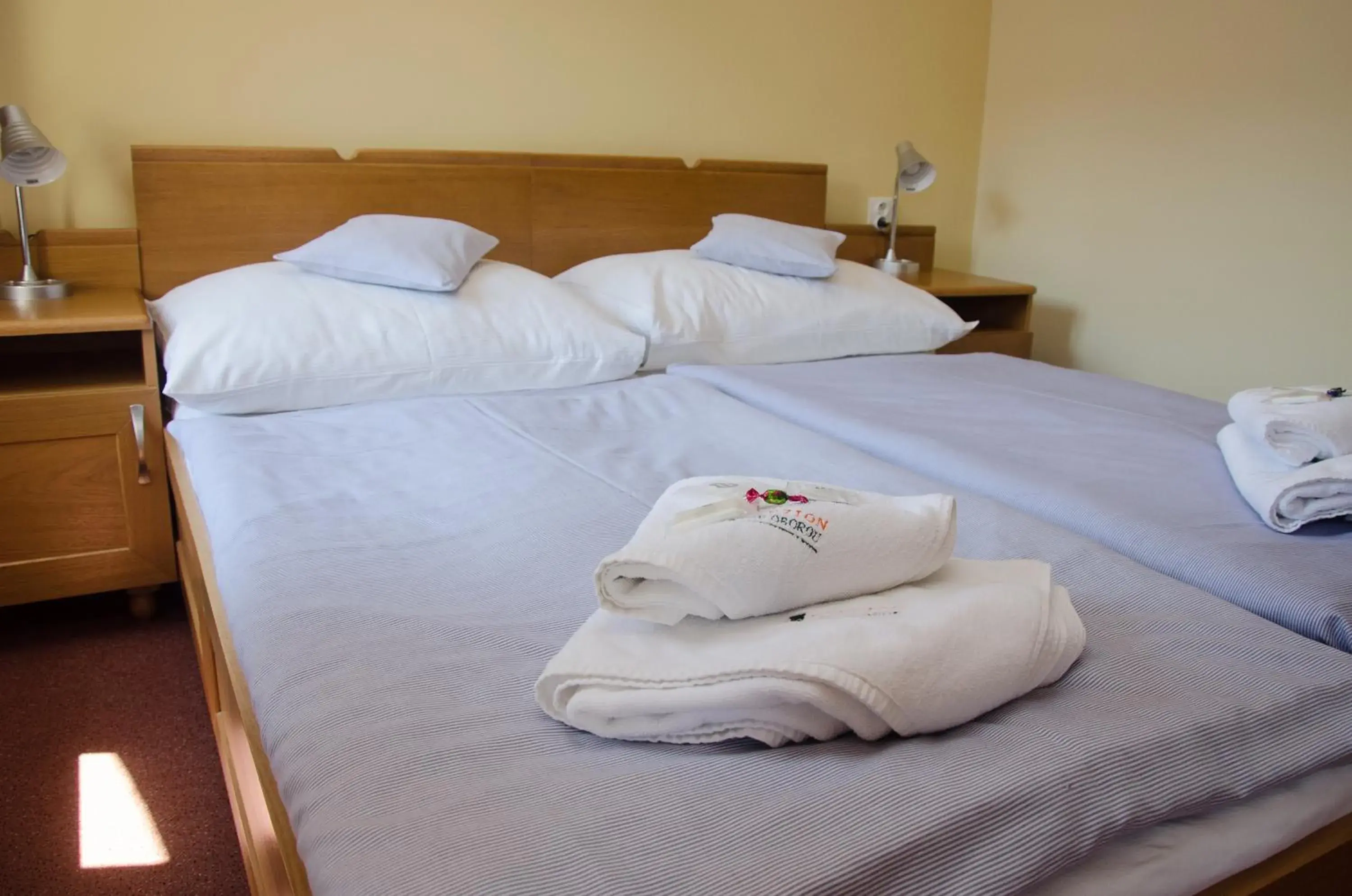 Standard Double Room - single occupancy in Penzion Nad Oborou Standard Double Room - single occupancy in Penzion Nad Oborou