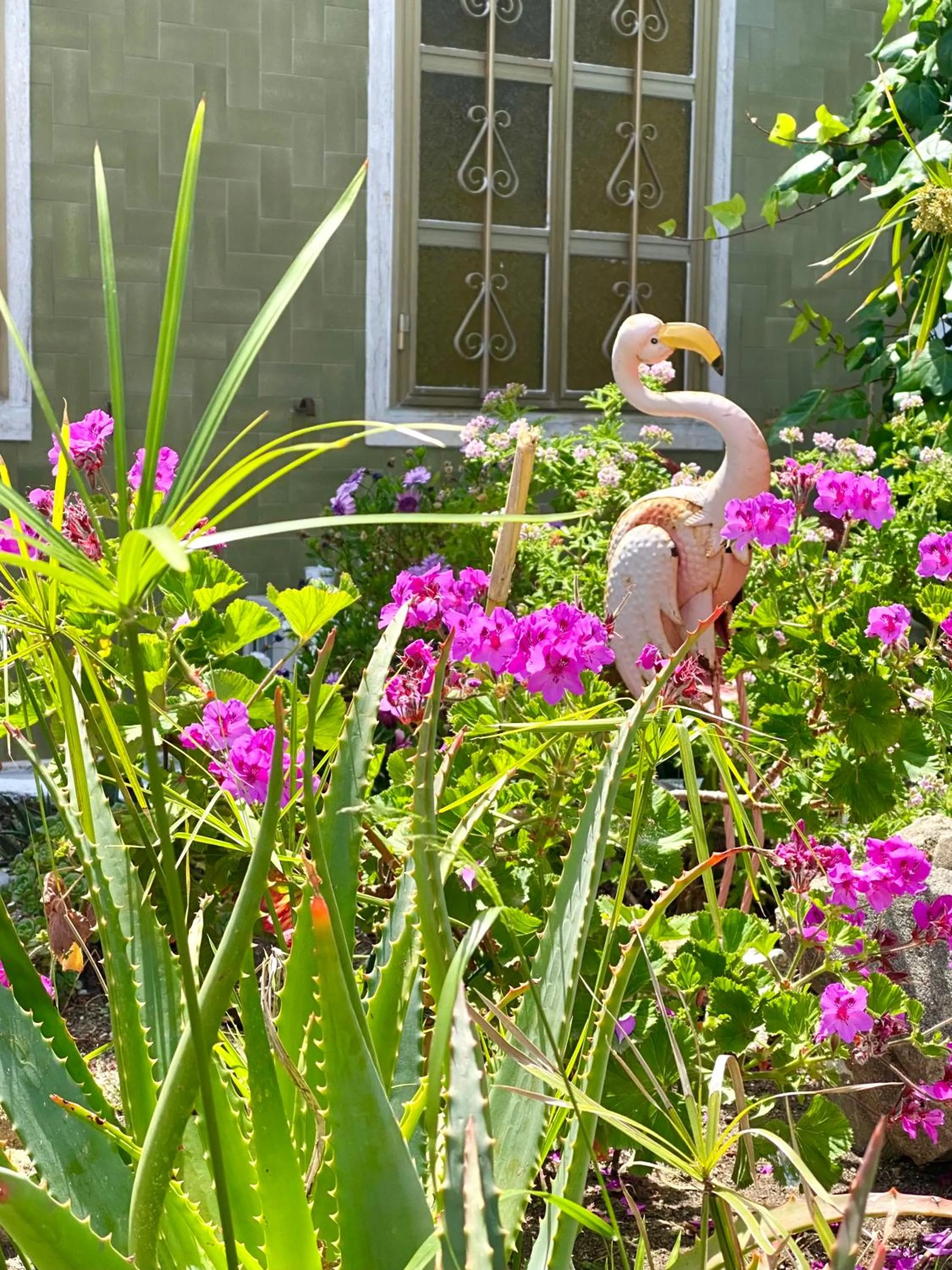 Garden in Villa Rocco Rooms