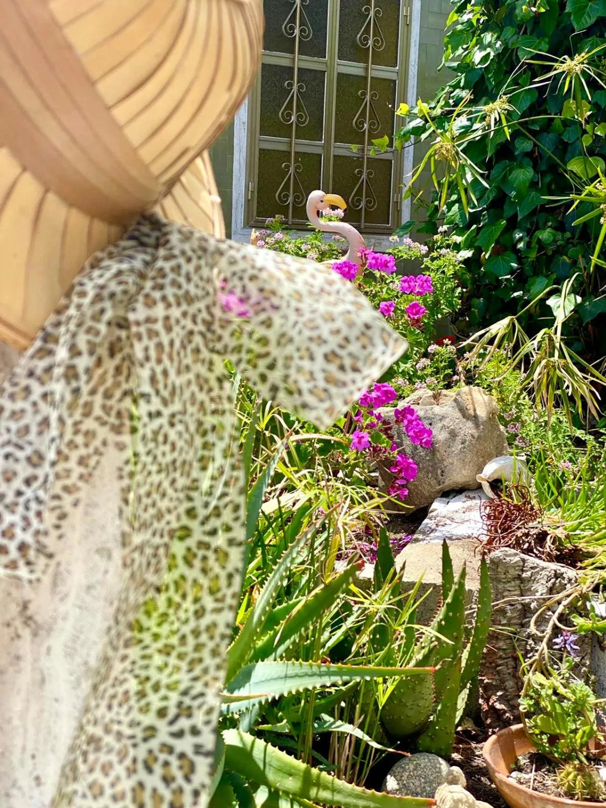 Garden in Villa Rocco Rooms