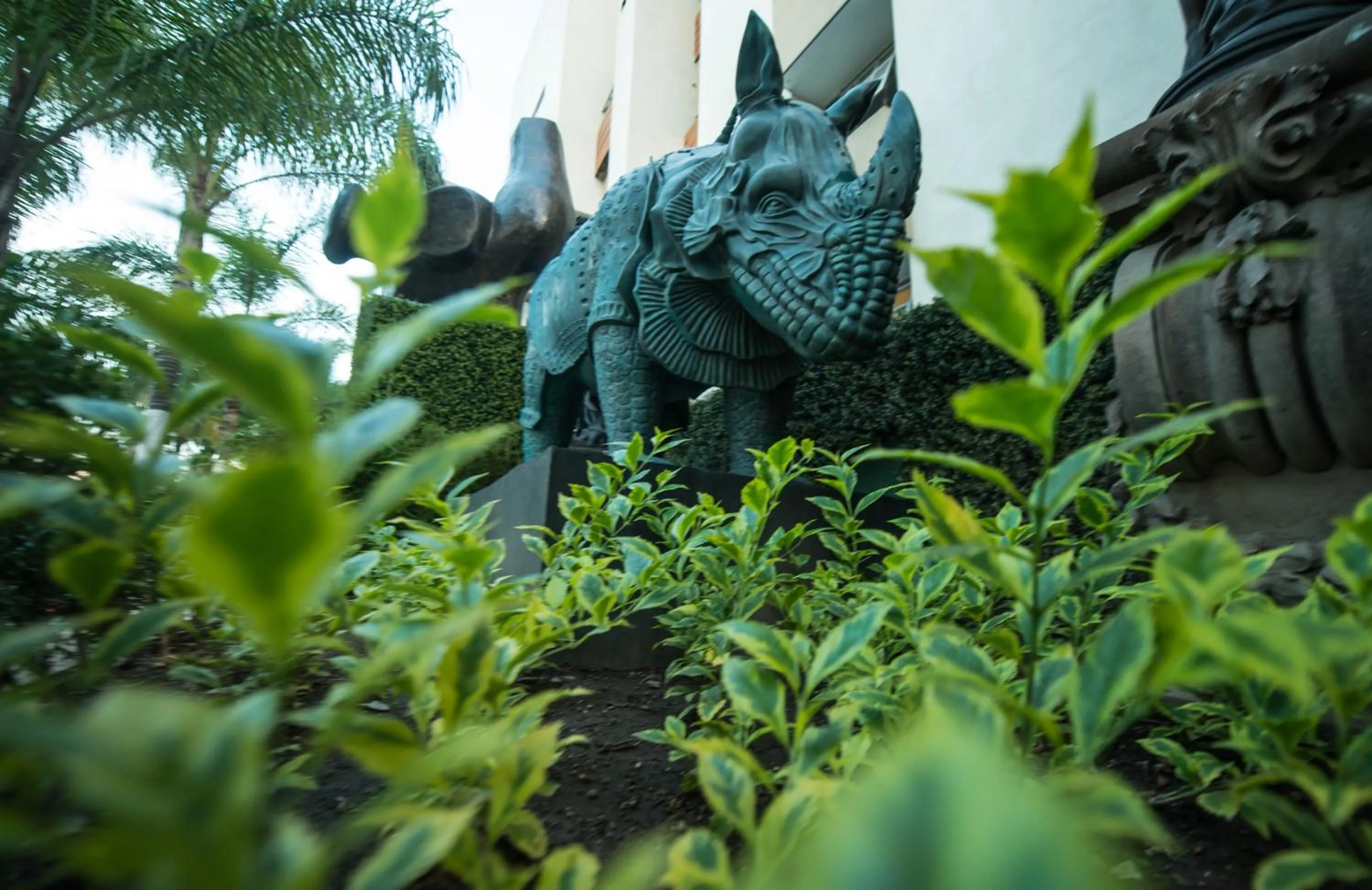 Area and facilities in European Life Style Executive Suites