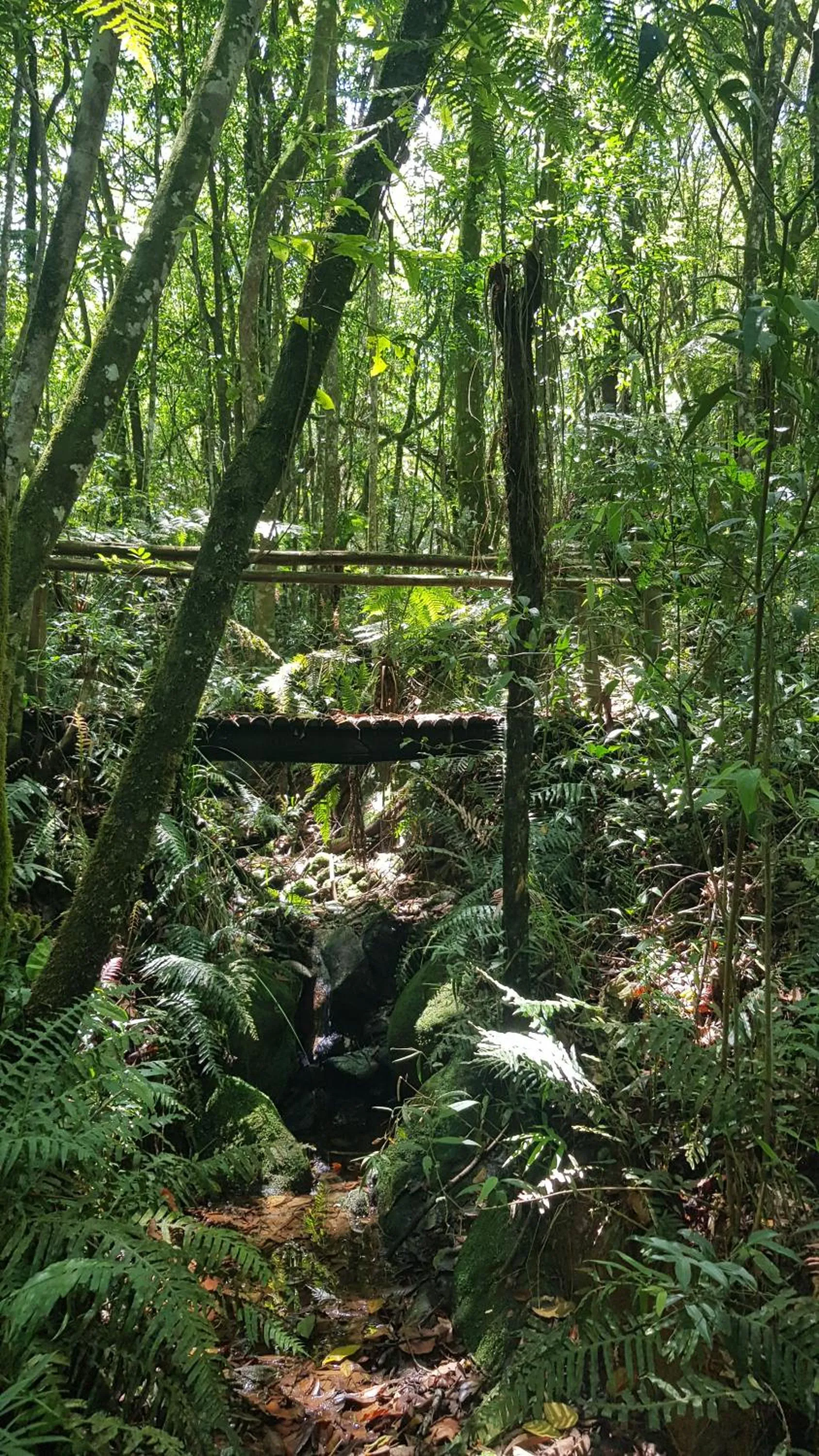 Hiking in Pousada Candonga da Serra