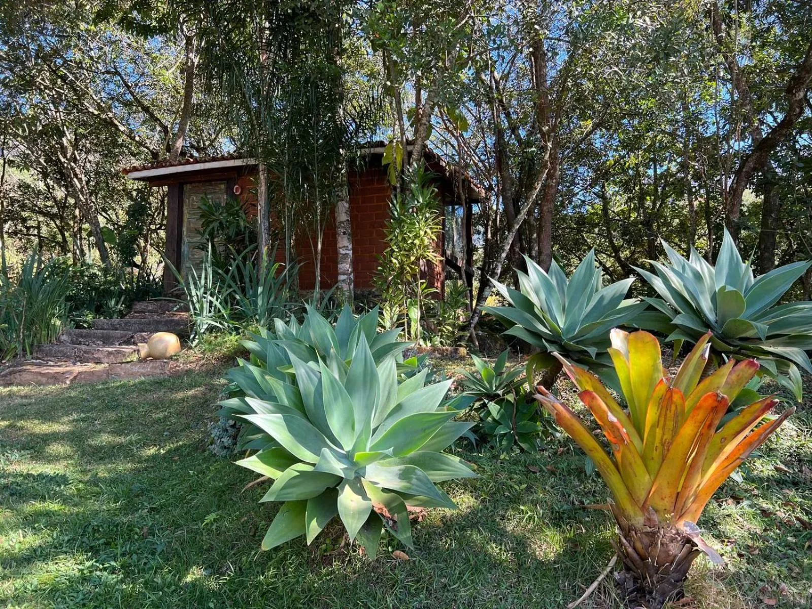 Garden in Pousada Candonga da Serra