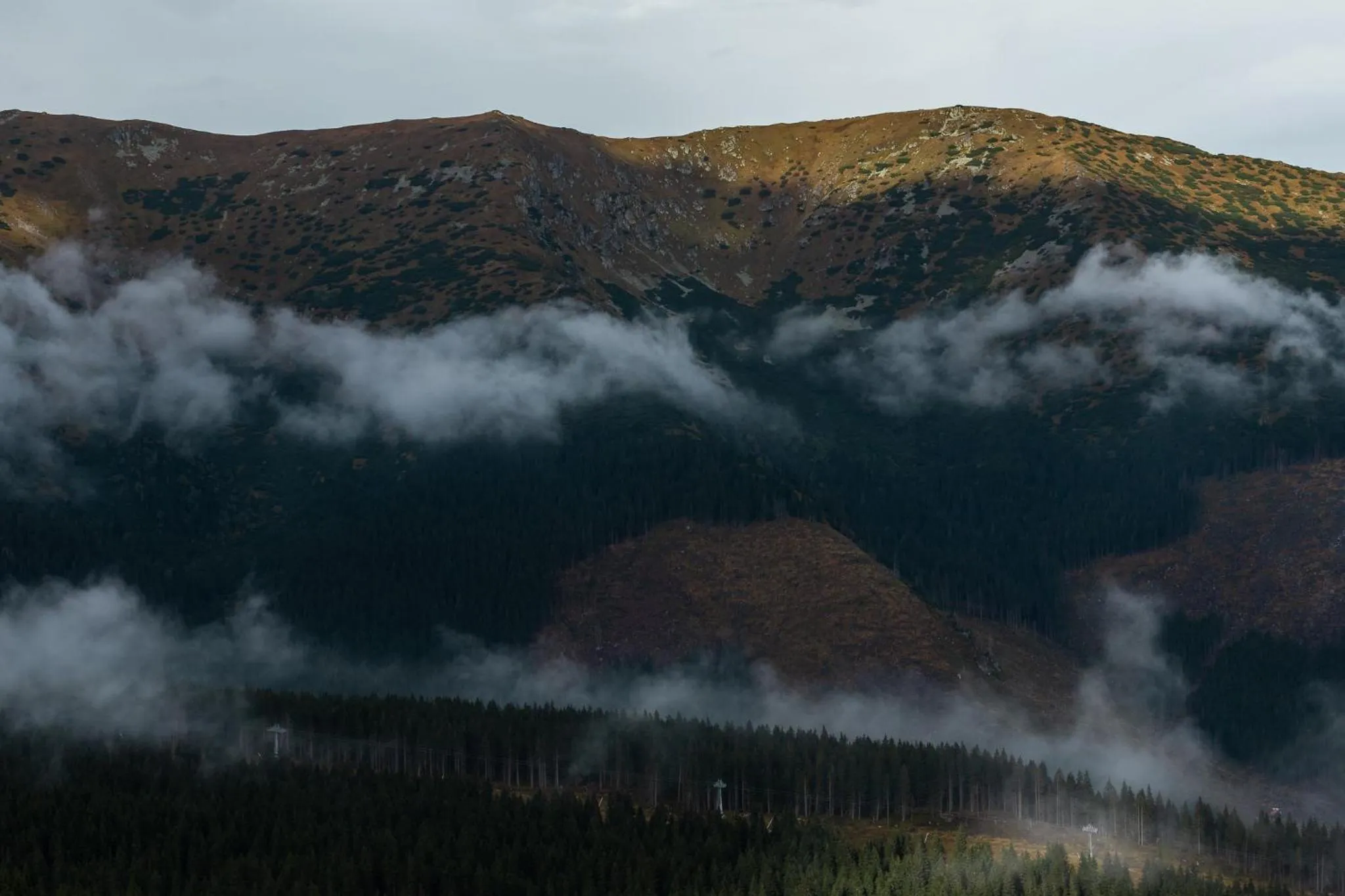Natural landscape in Hotel Jasná