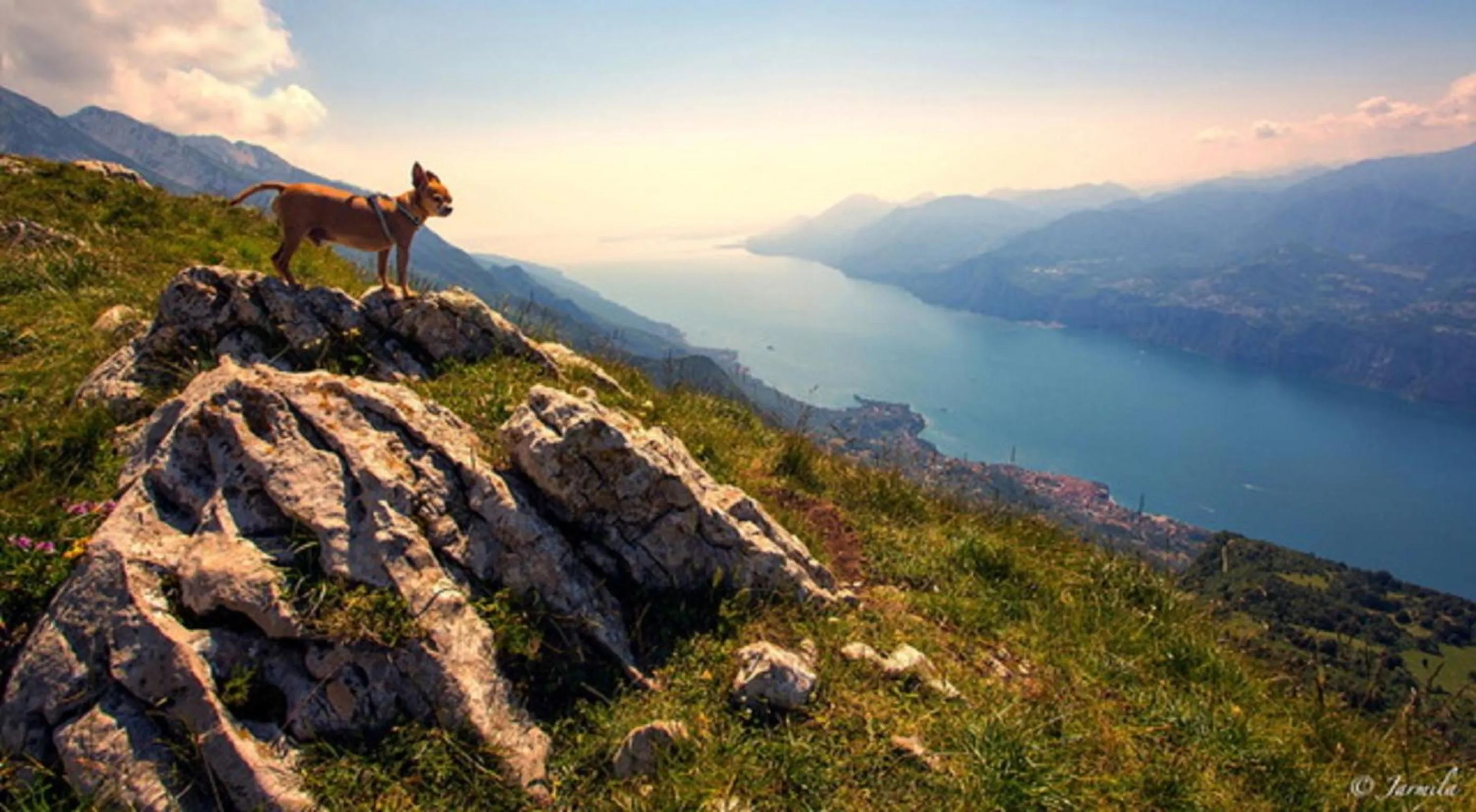 Natural landscape in Hotel Buena Onda