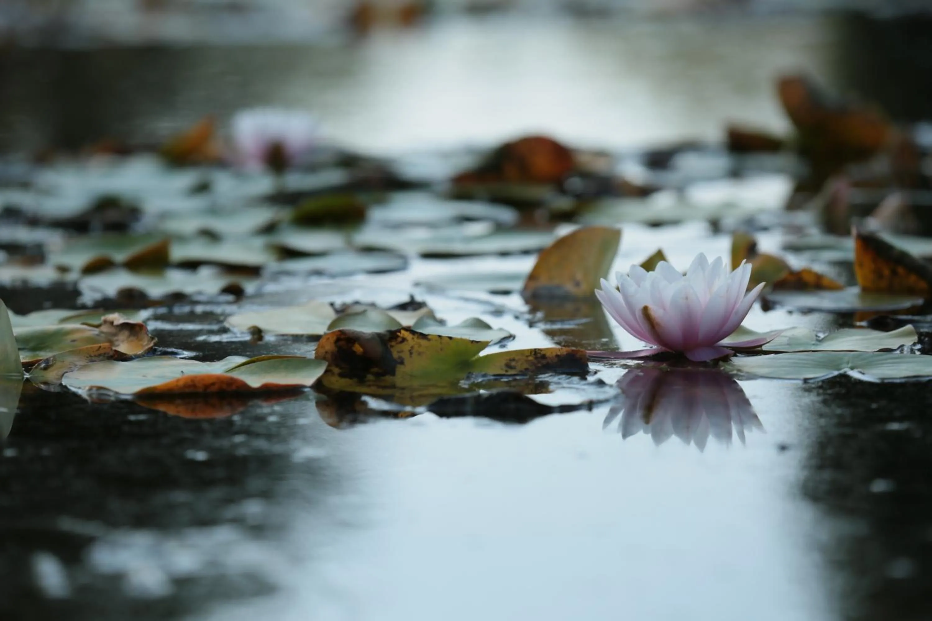 Nearby landmark in Hotel Buena Onda