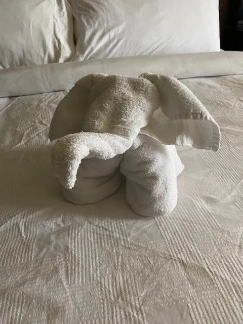 towels, Bed in Red Deer Resort & Casino