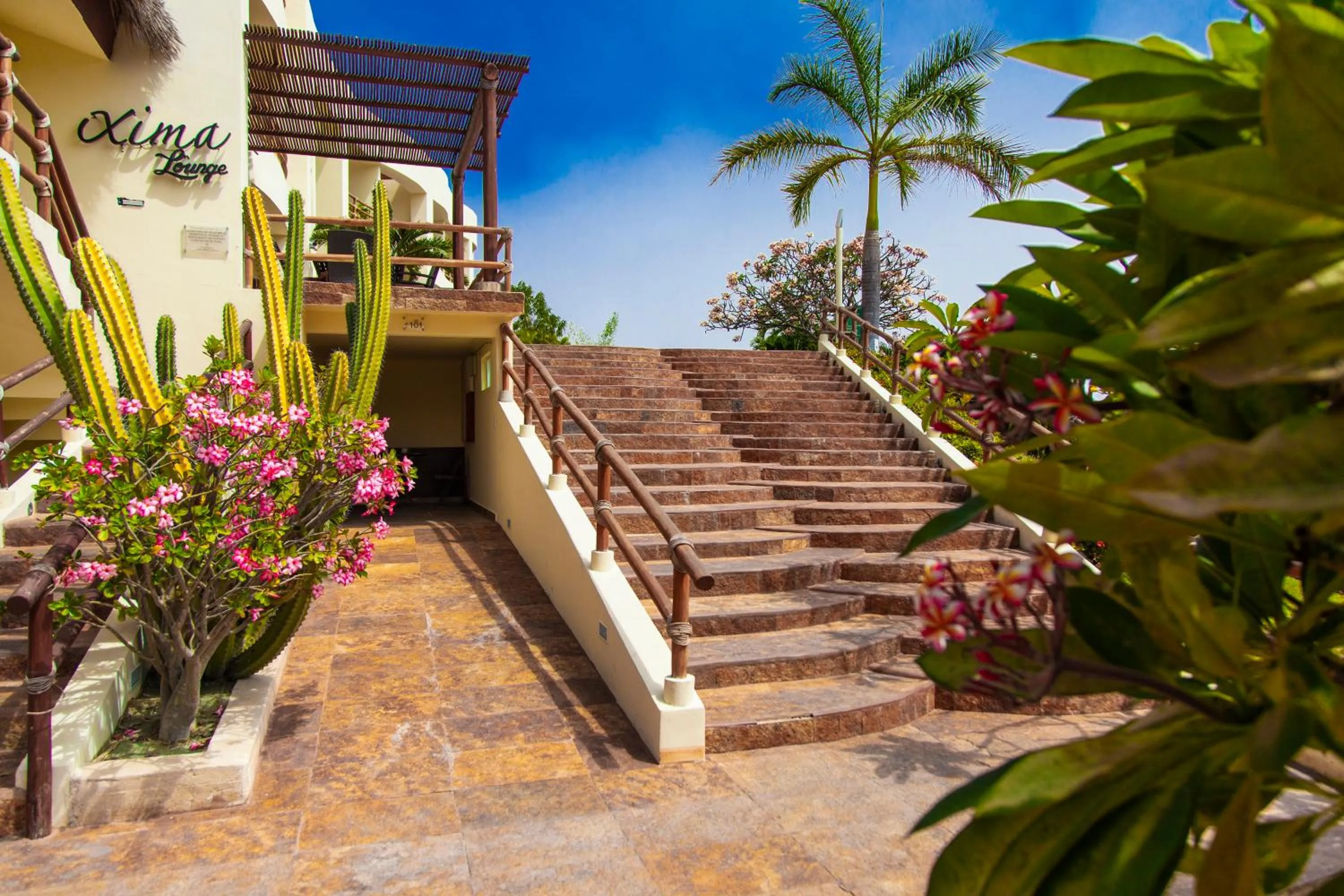 Property building in Princess Mayev