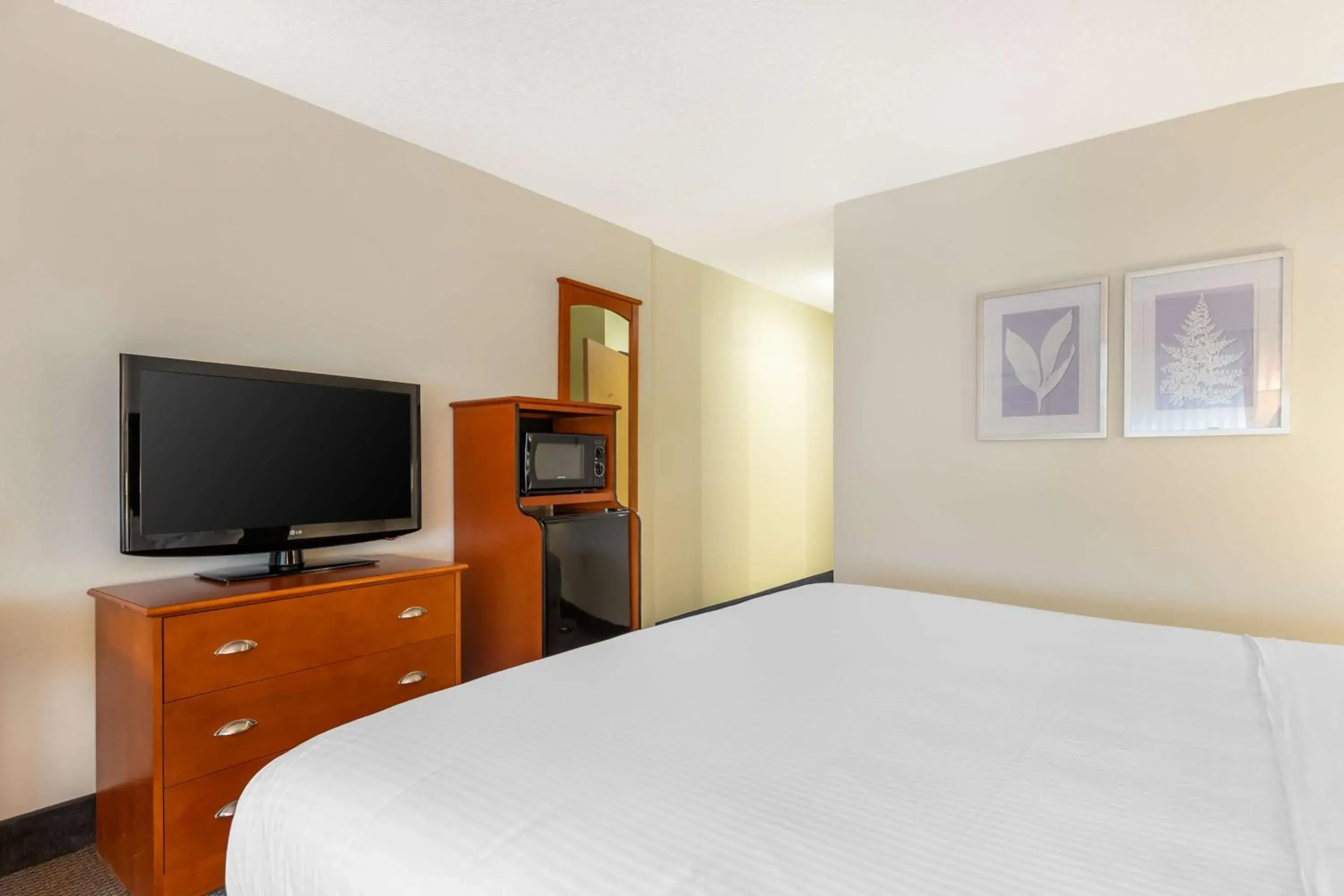 Bedroom, Bed in Best Western Plus University Park Inn & Suites Bedroom, Bed in Best Western Plus University Park Inn & Suites