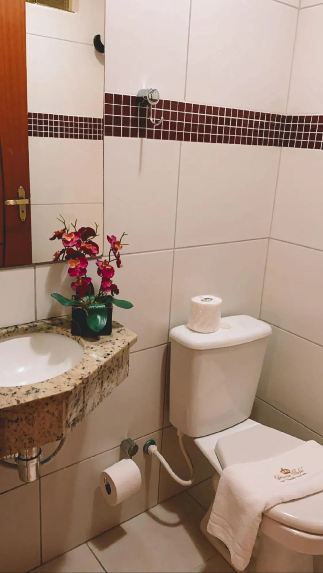 Toilet in Princesa Isabel Pousada e Hotel – Dom Pedro