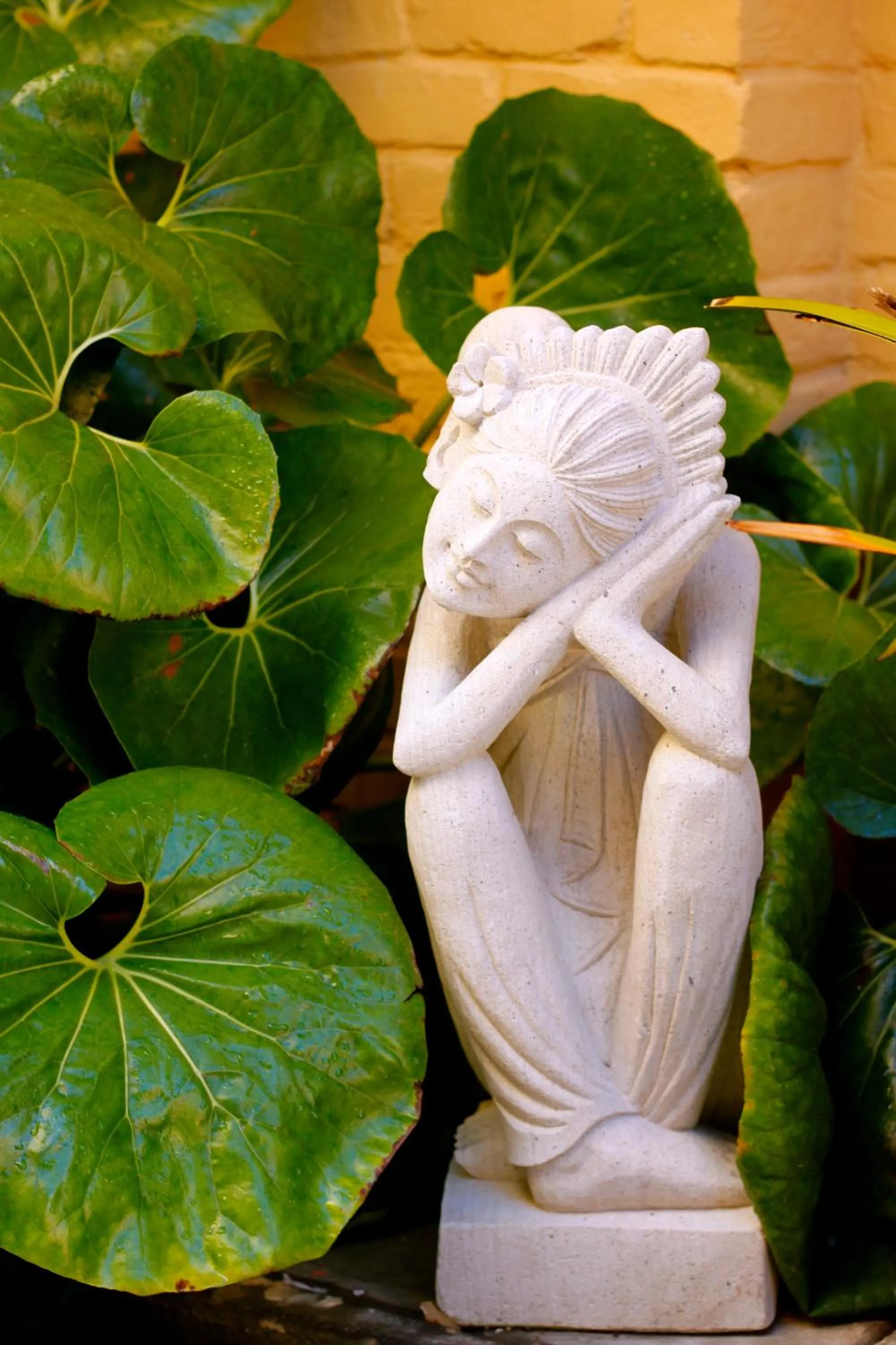 Property building in Pantai Inn