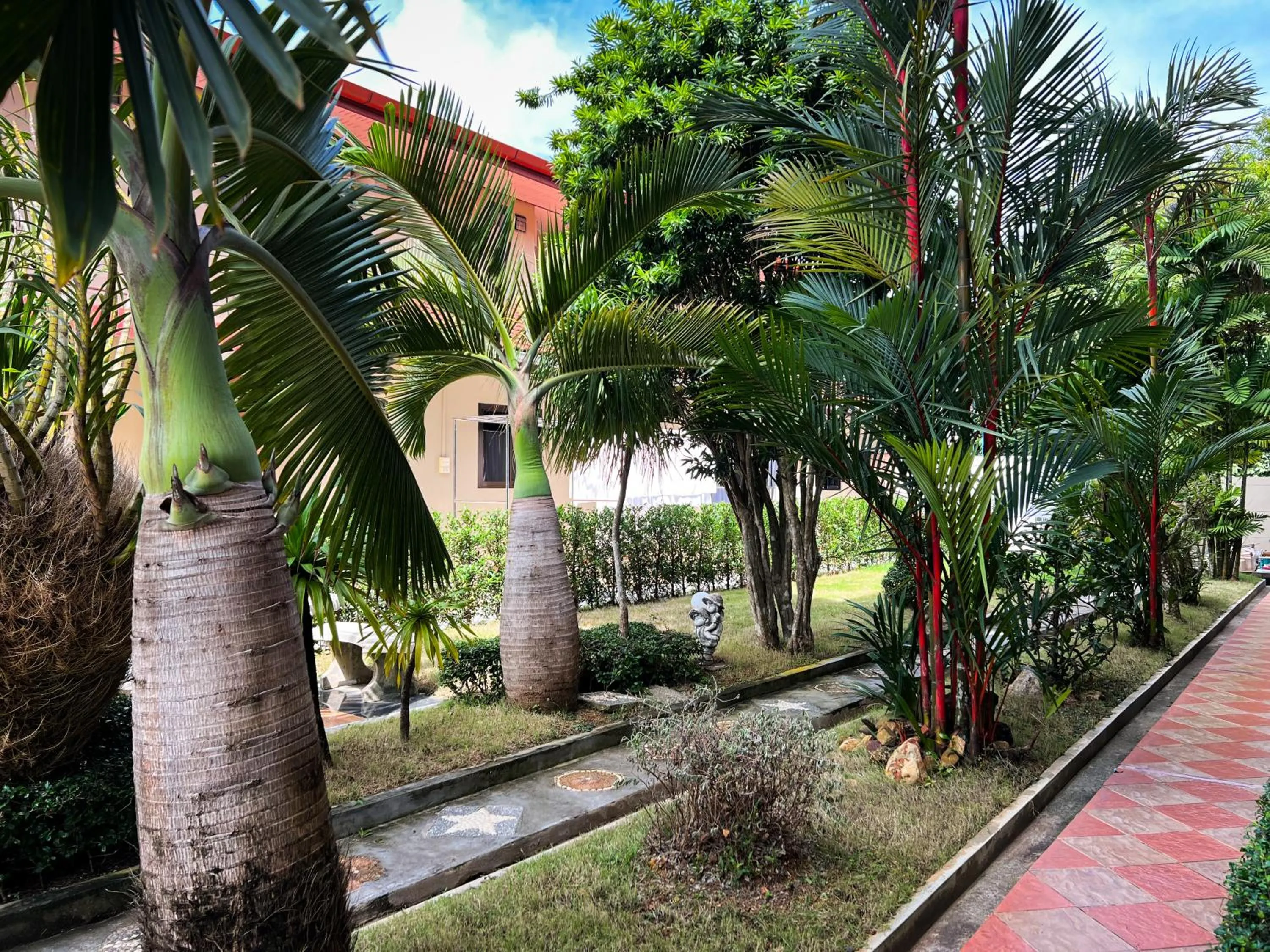 Garden in Tachang Airport Hotel
