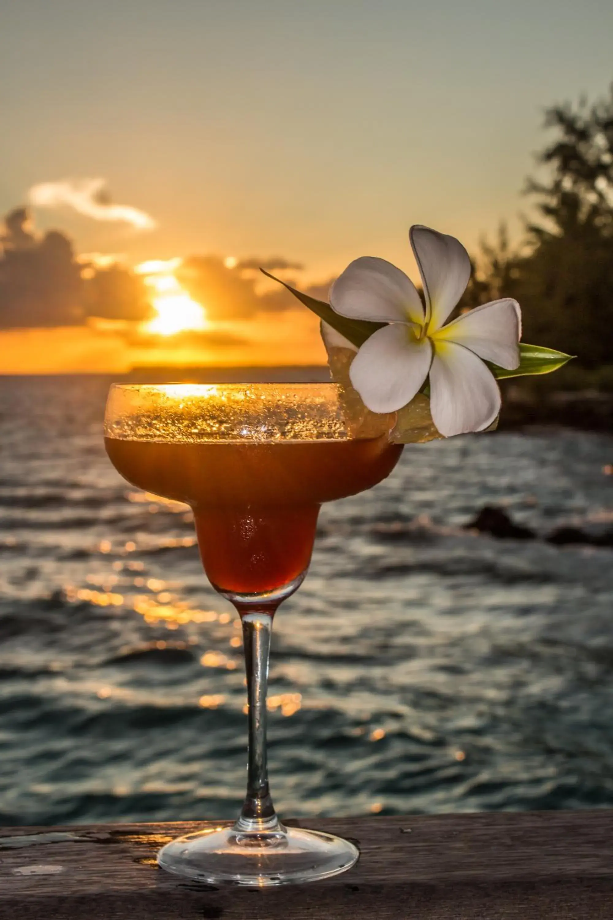 Food and drinks in Maitai Rangiroa Food and drinks in Maitai Rangiroa