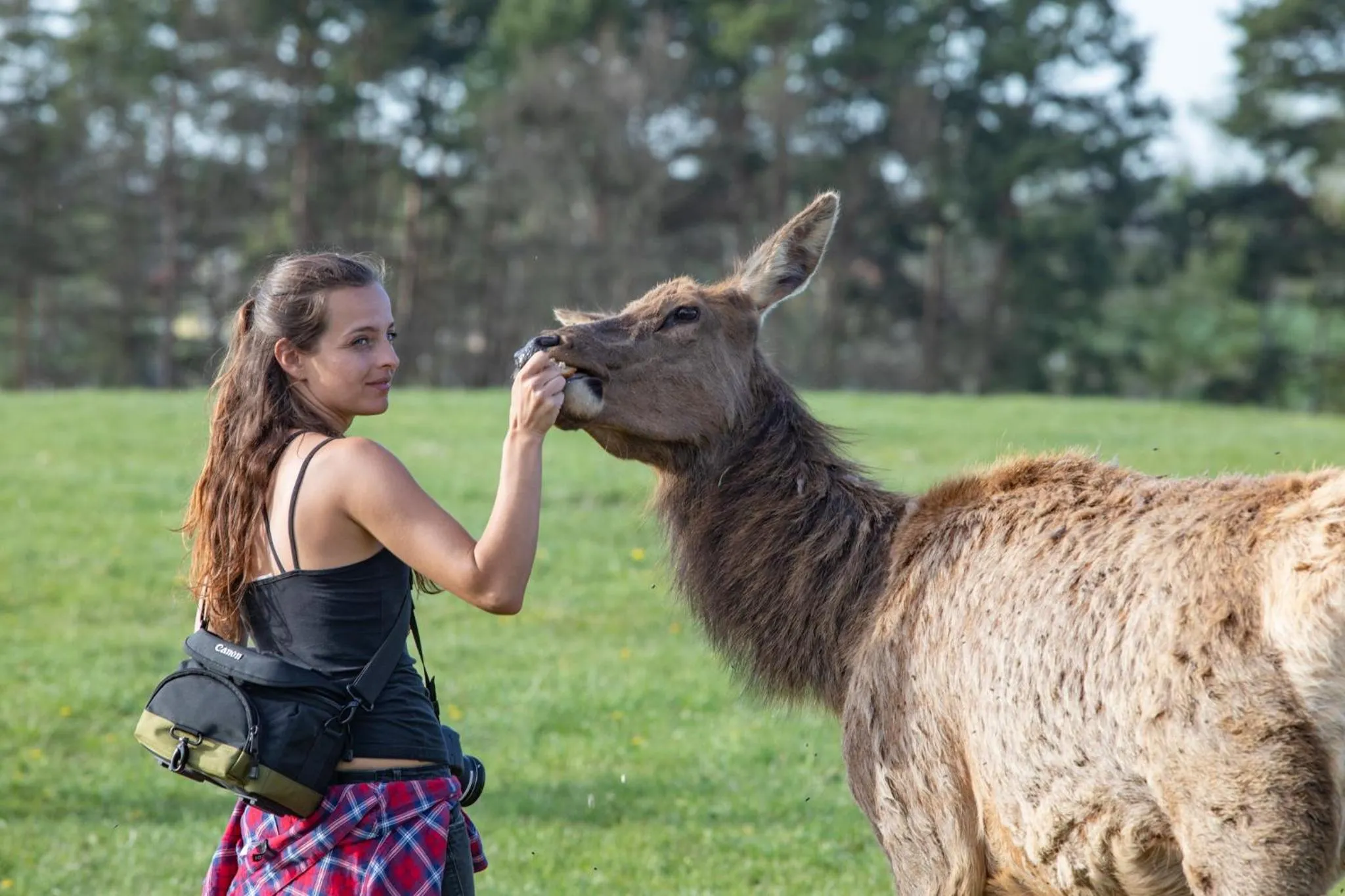 Residence Safari Resort - Chateau