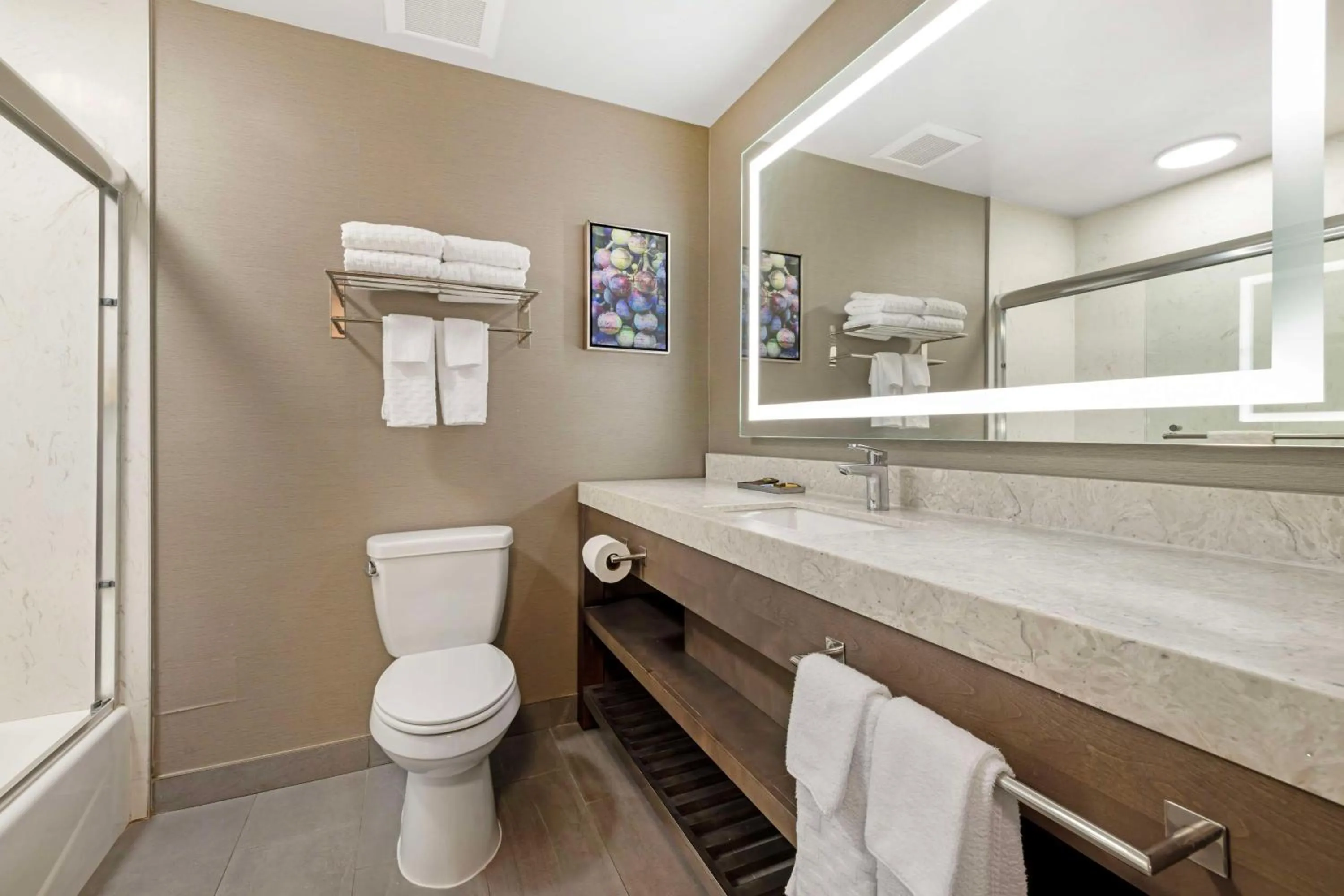 Bathroom in Best Western Plus Temecula Wine Country Hotel & Suites