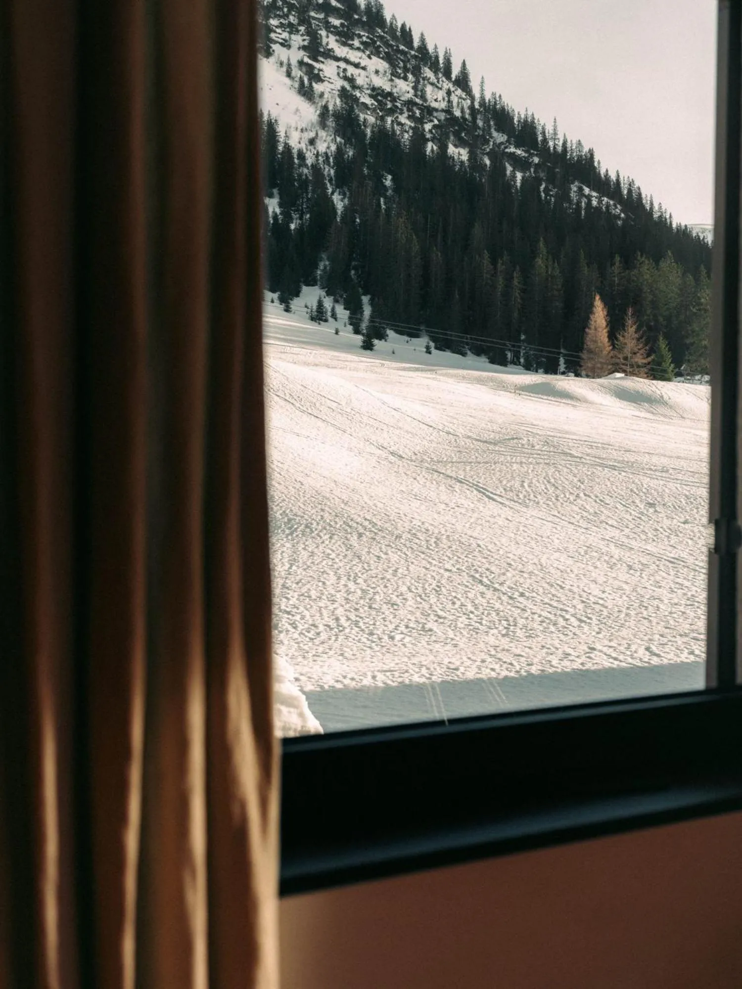 View (from property/room) in Hotel Schwarzwand