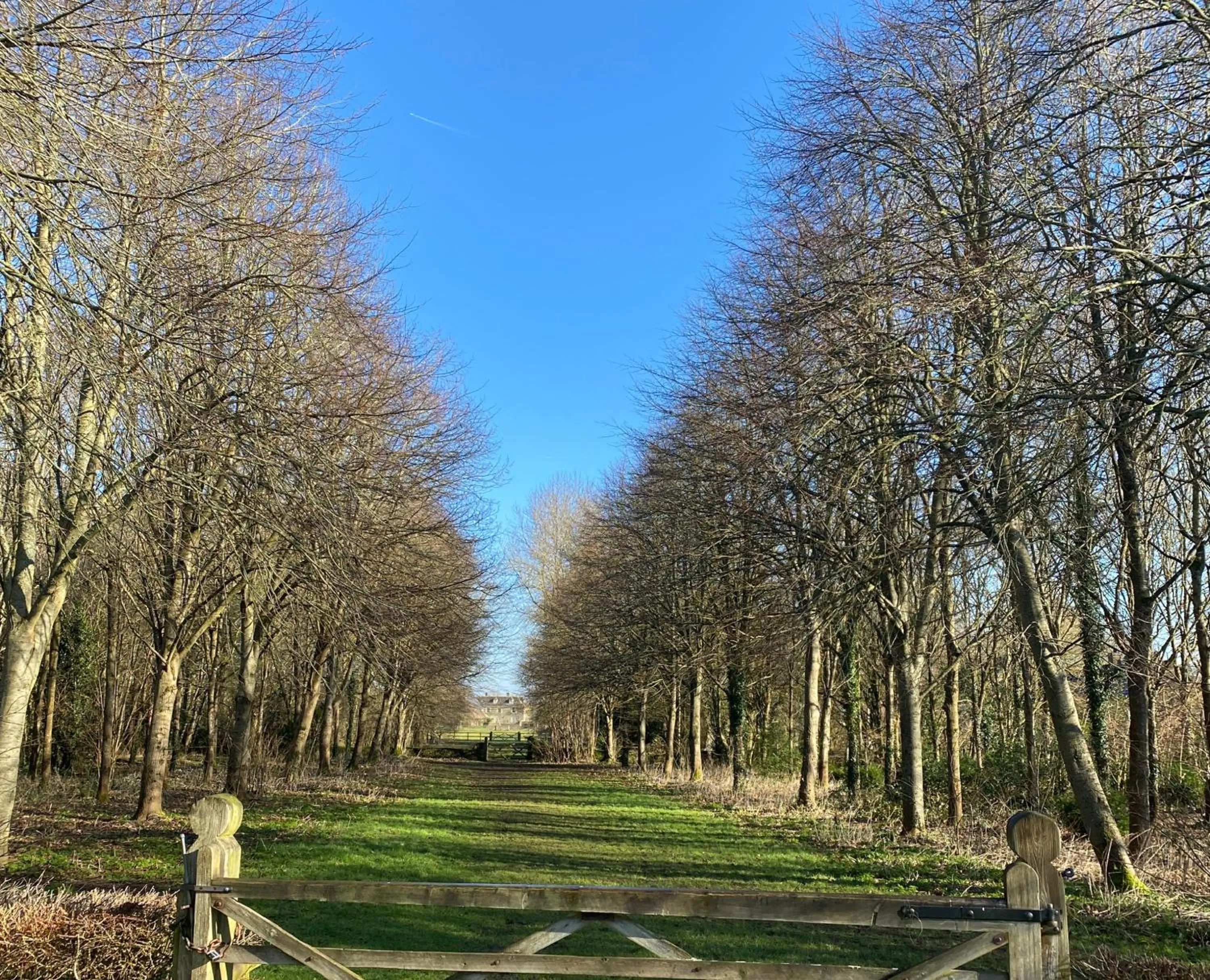 Spring in Pettifers Freehouse Hotel