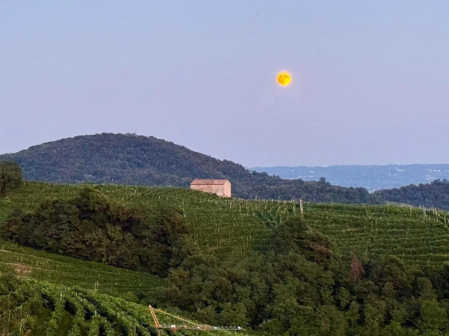 View (from property/room) in Boutique Hotel Municipio 1815