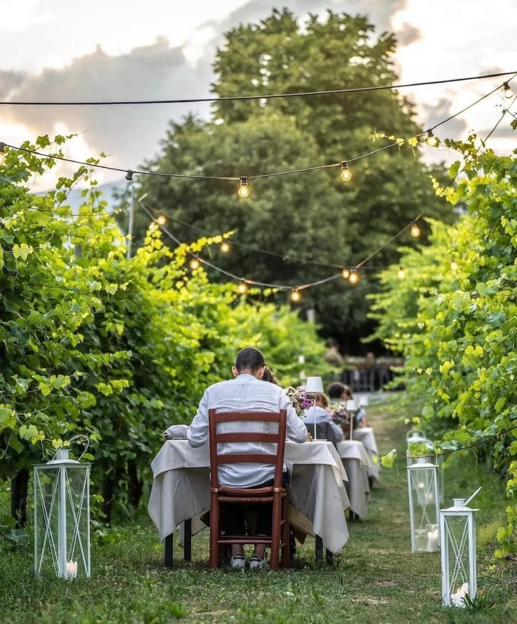 Restaurant/places to eat in Boutique Hotel Municipio 1815