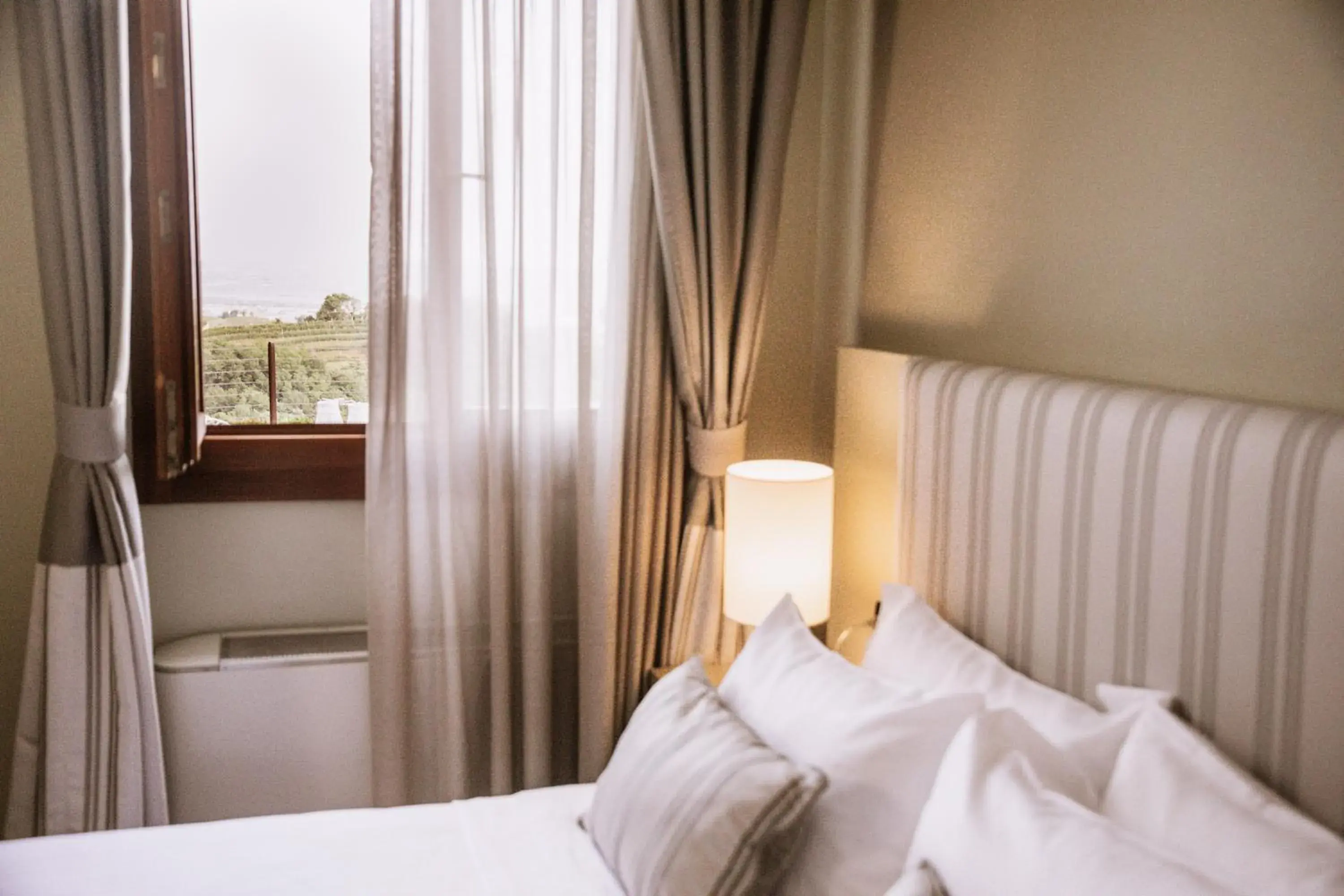 Standard Double Room - single occupancy in Boutique Hotel Municipio 1815 Standard Double Room - single occupancy in Boutique Hotel Municipio 1815