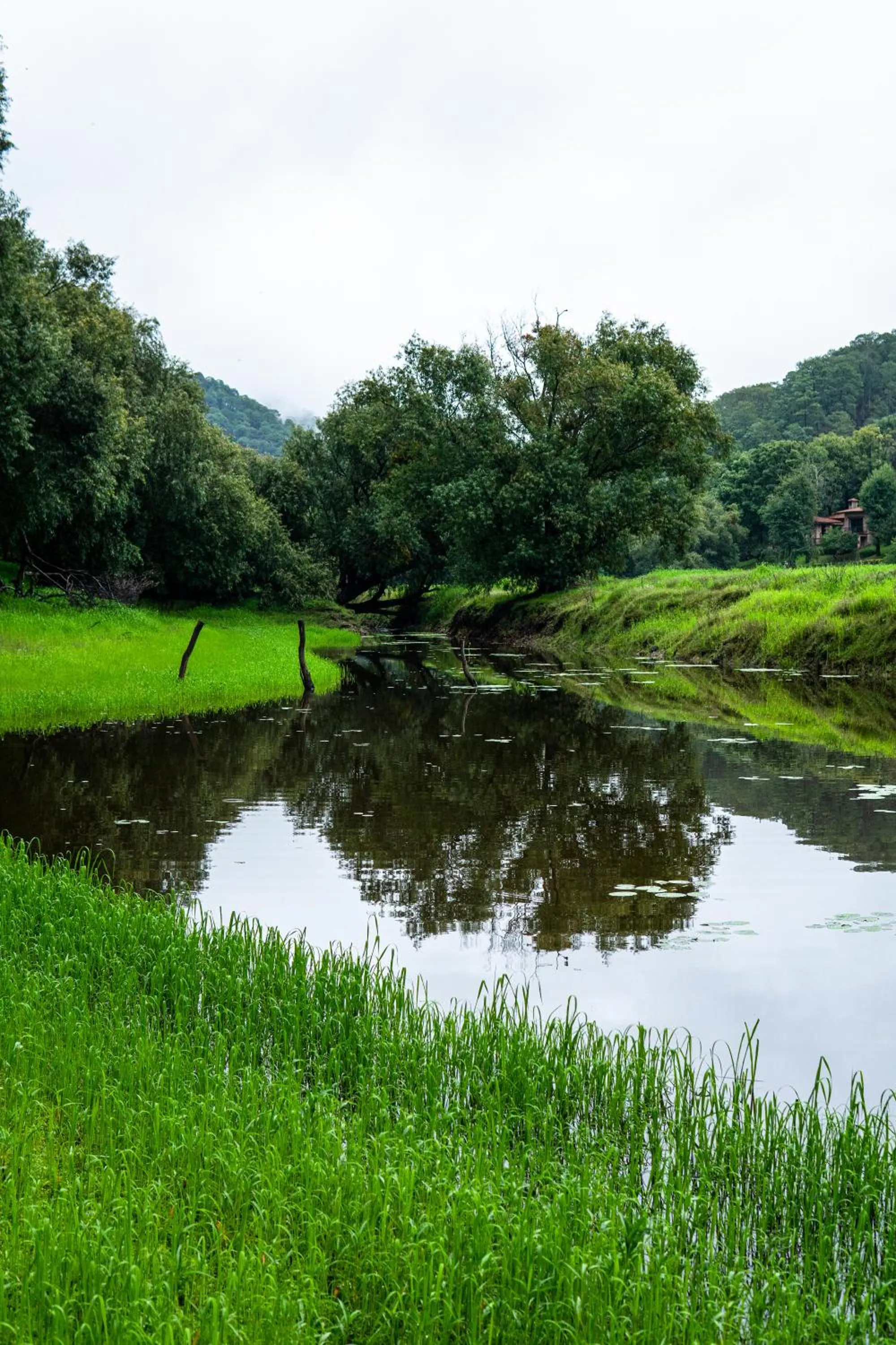 Natural landscape in Sierra Lago