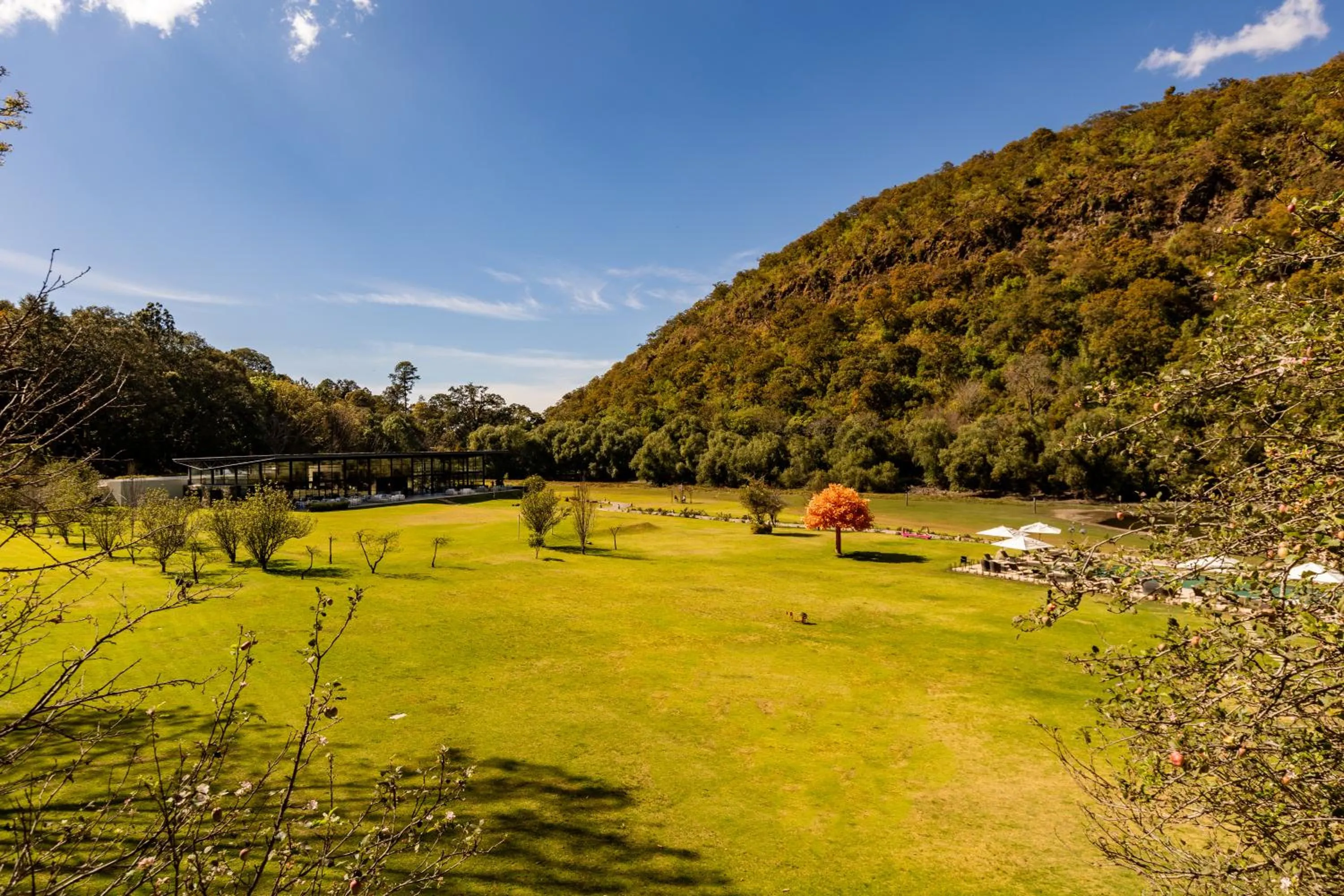 View (from property/room) in Sierra Lago