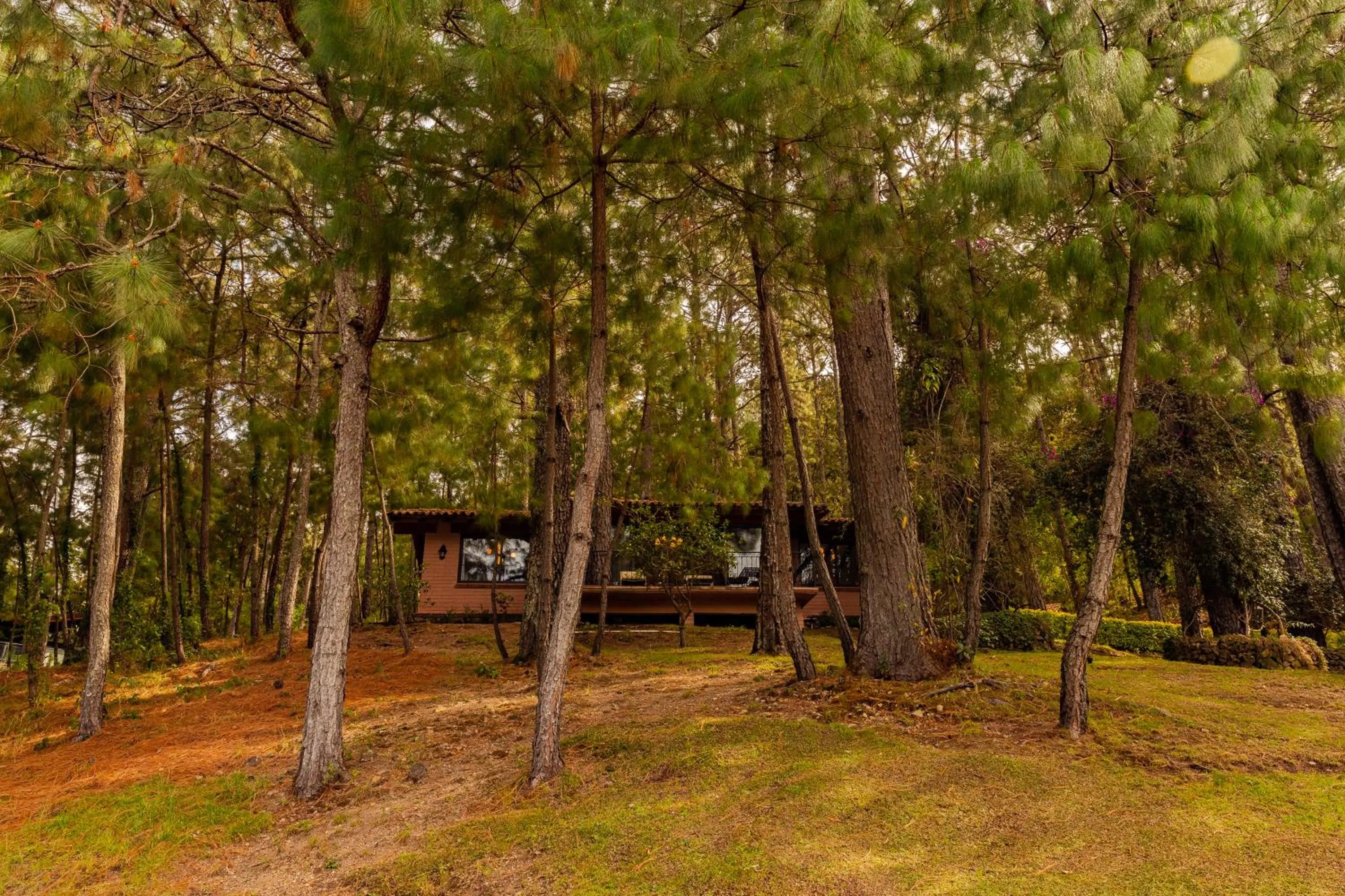 View (from property/room) in Sierra Lago
