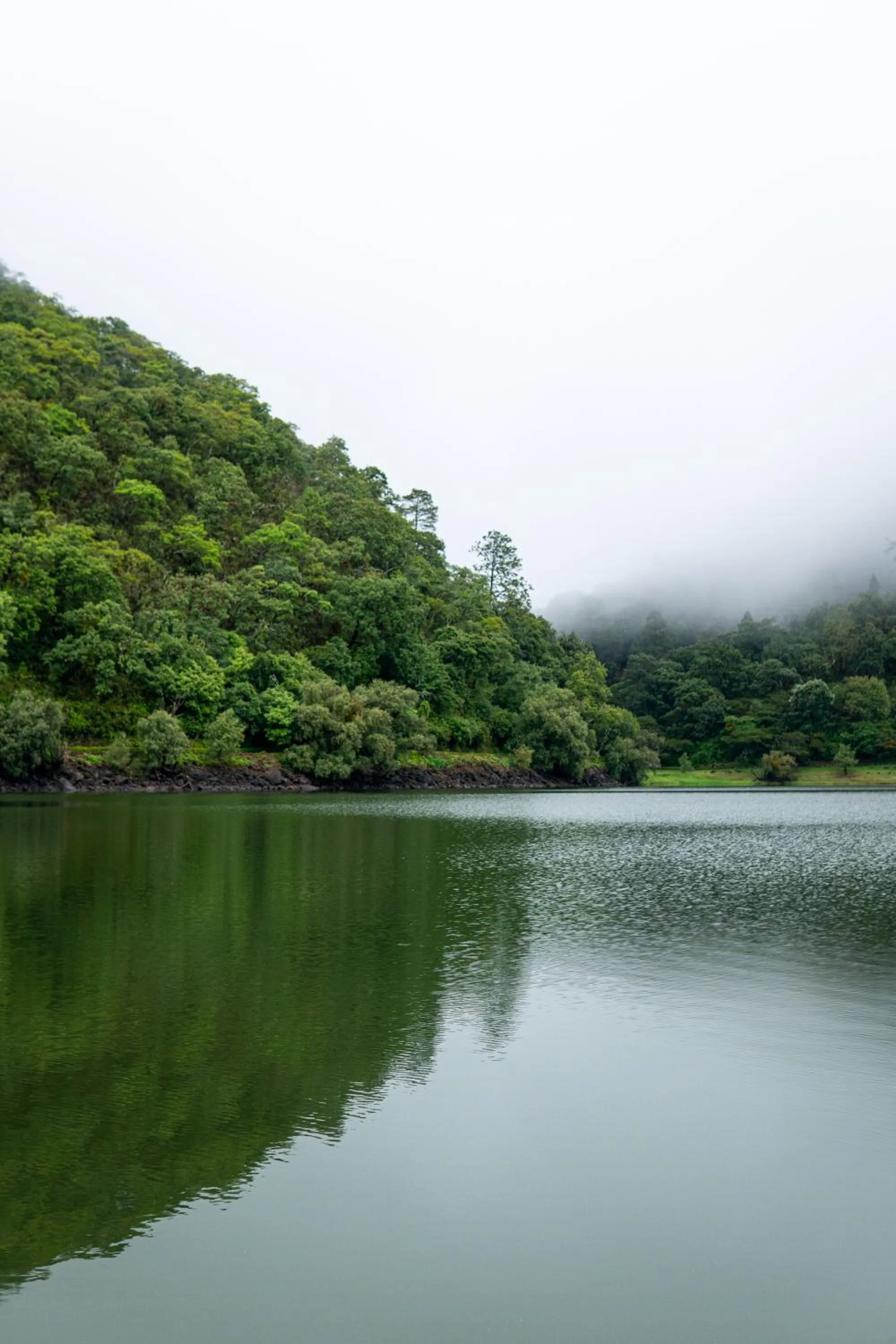 Natural landscape in Sierra Lago