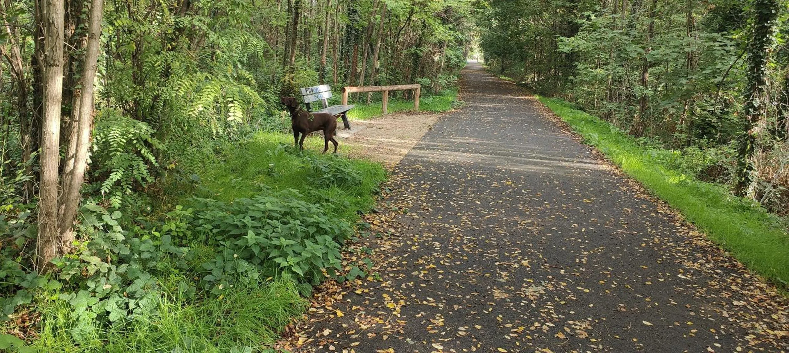 Property building in Lamaisonxv