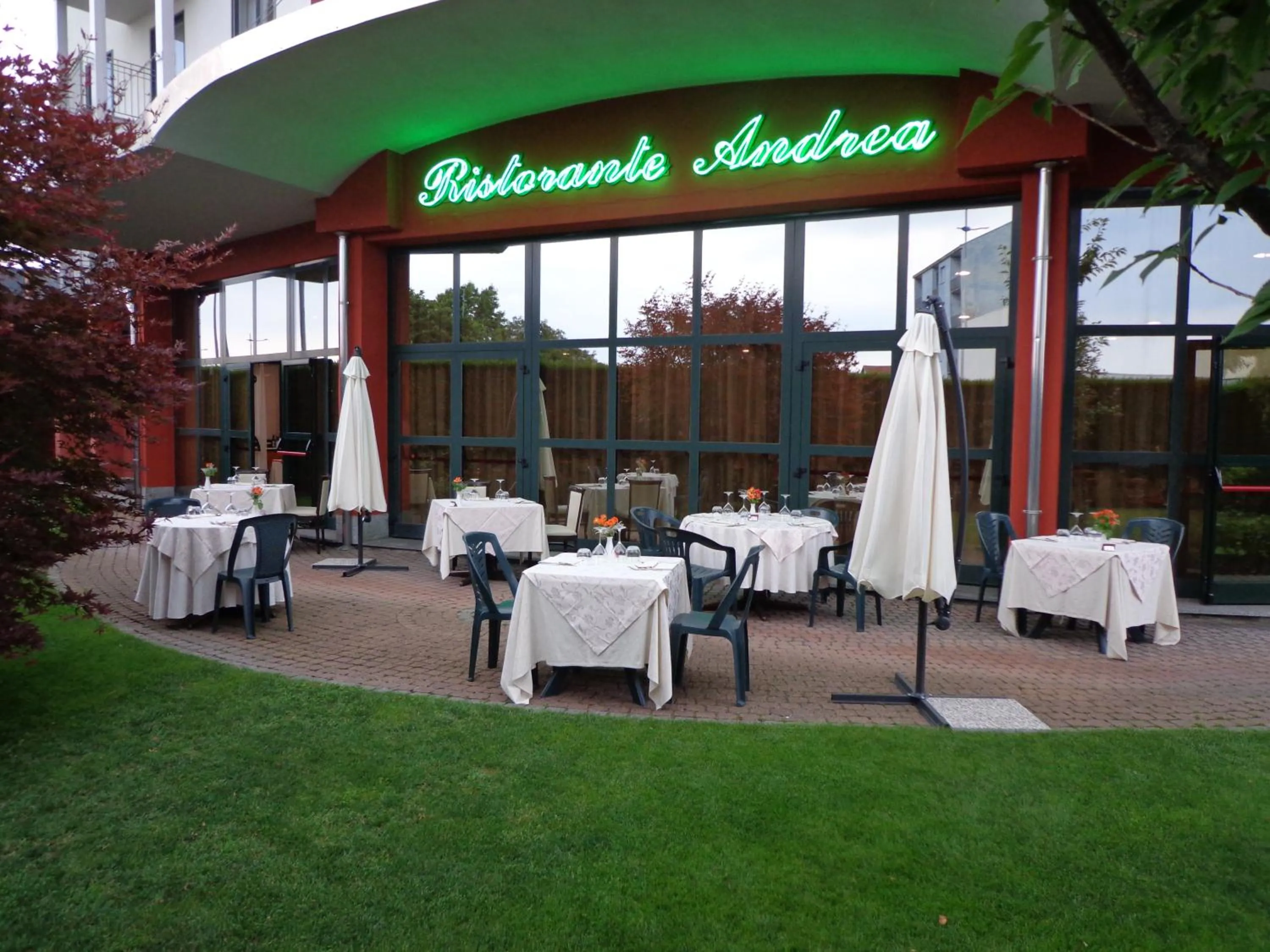 Garden in Hotel Brindor