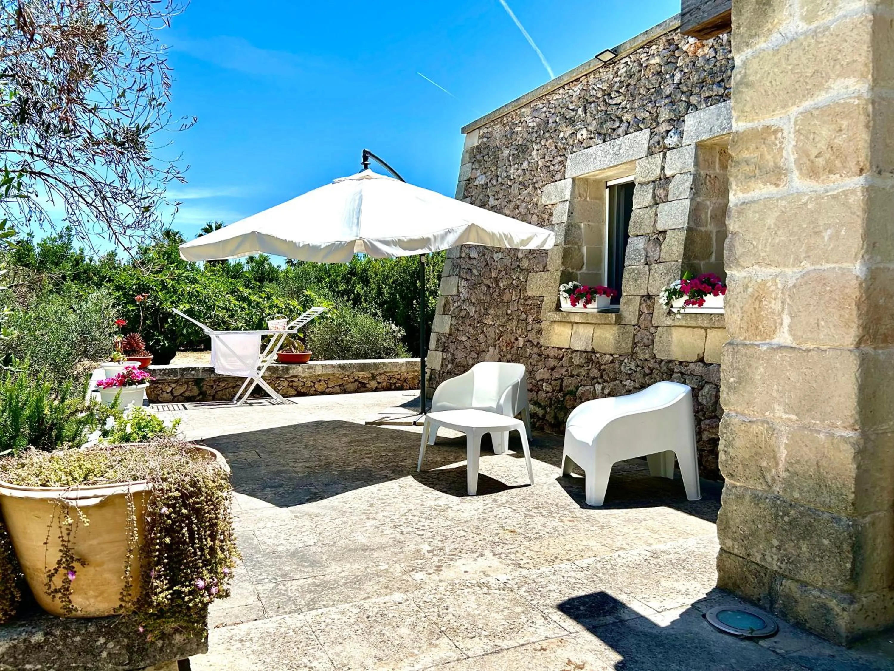 Garden in Villa Delfino