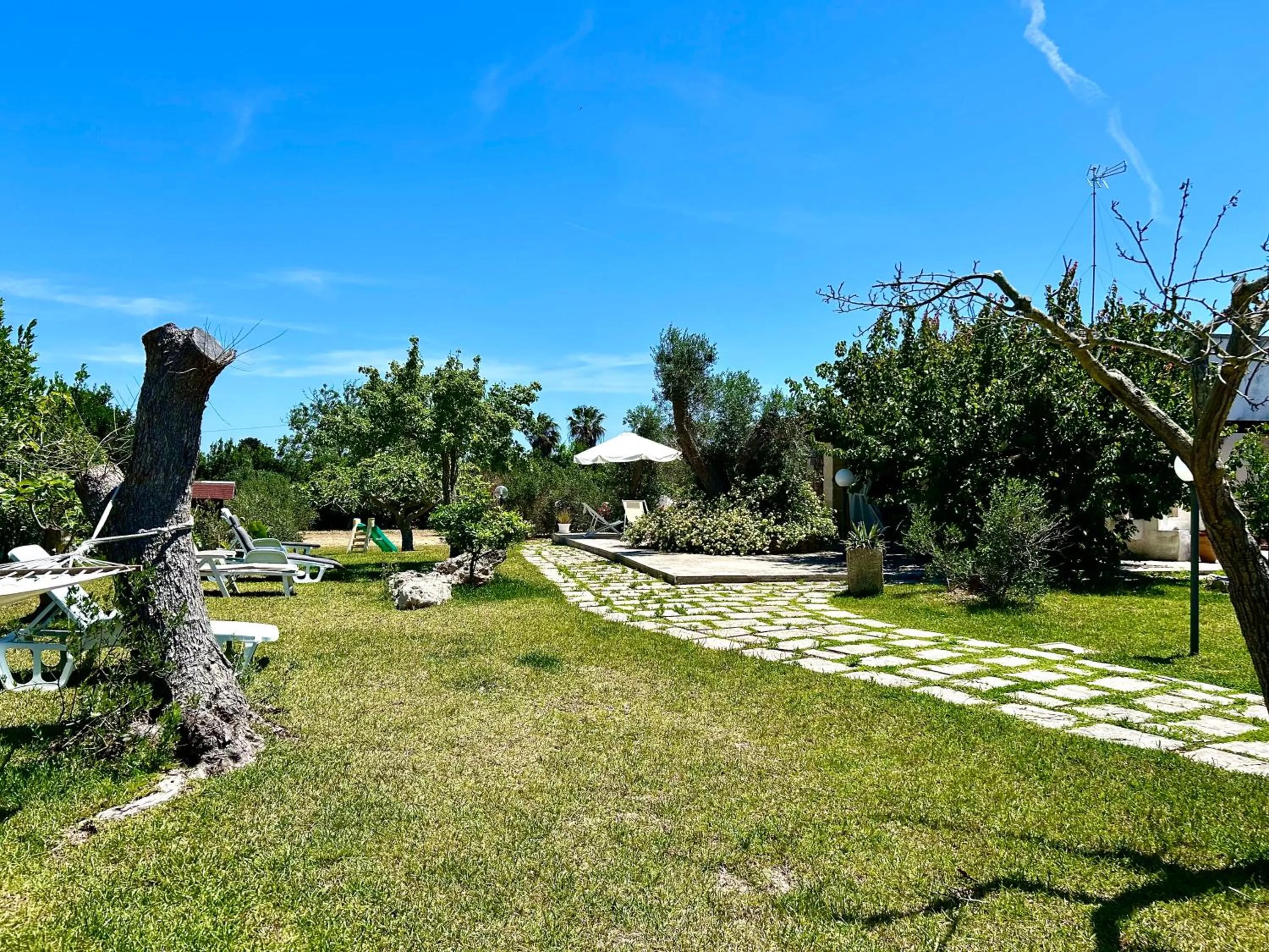 Garden in Villa Delfino