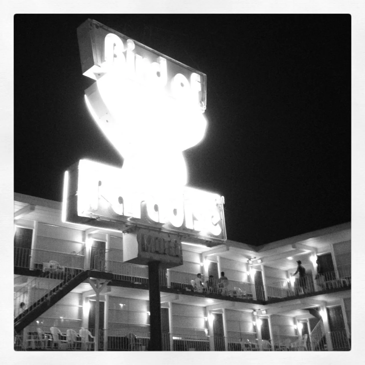Property logo or sign in Bird of Paradise Motel