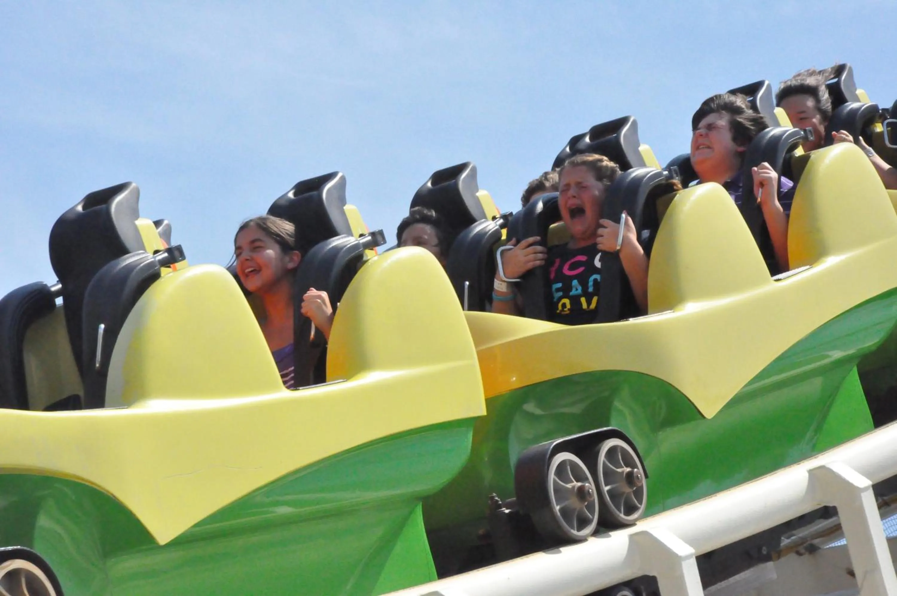 Bird of Paradise Motel