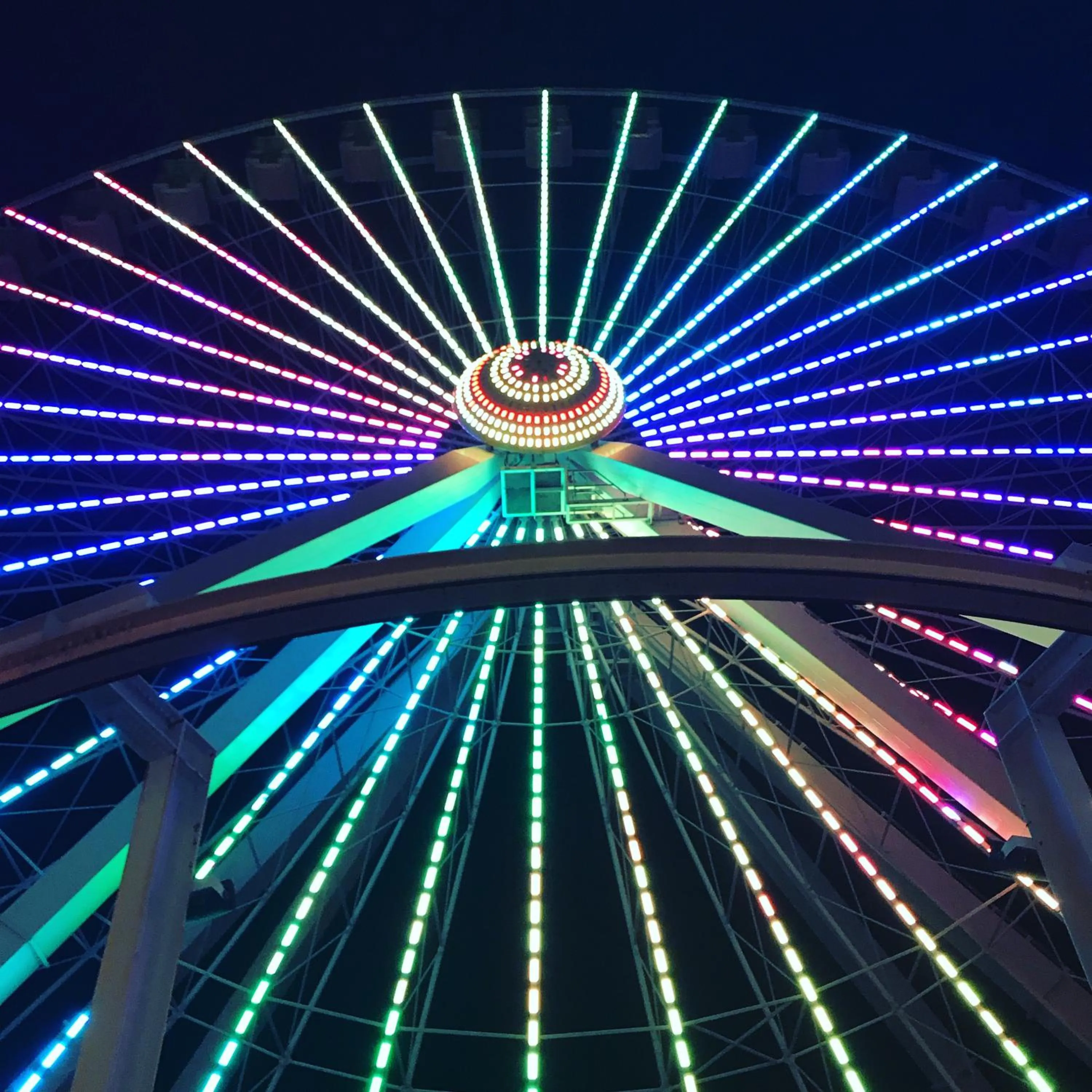 Bird of Paradise Motel