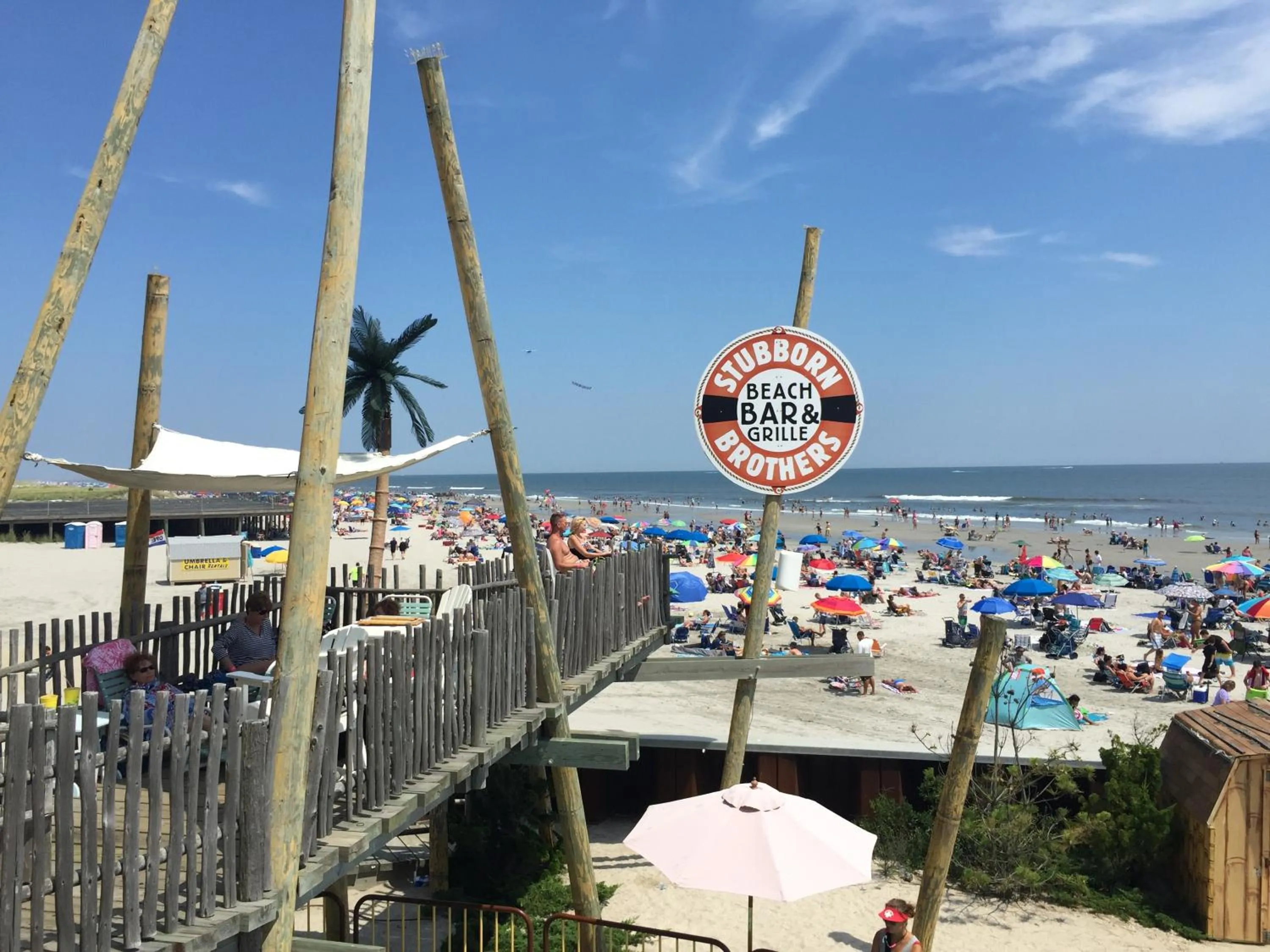Beach in Bird of Paradise Motel