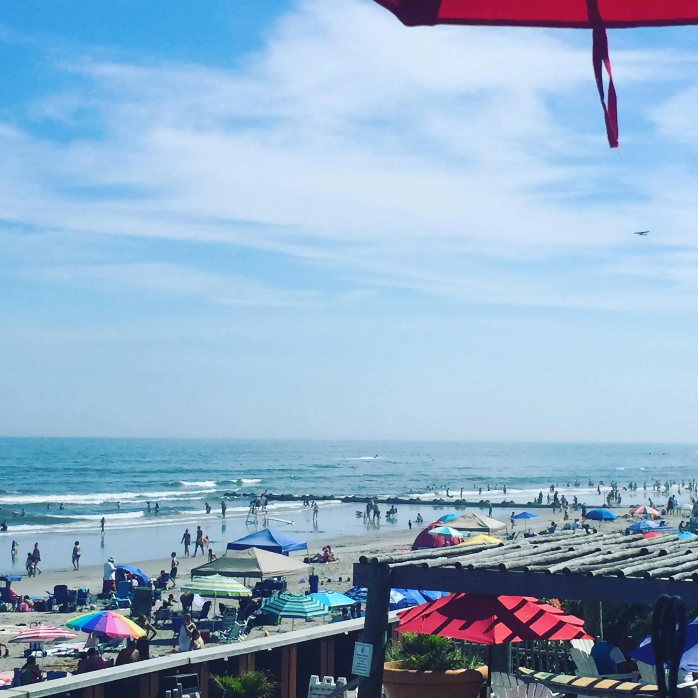 Day in Bird of Paradise Motel