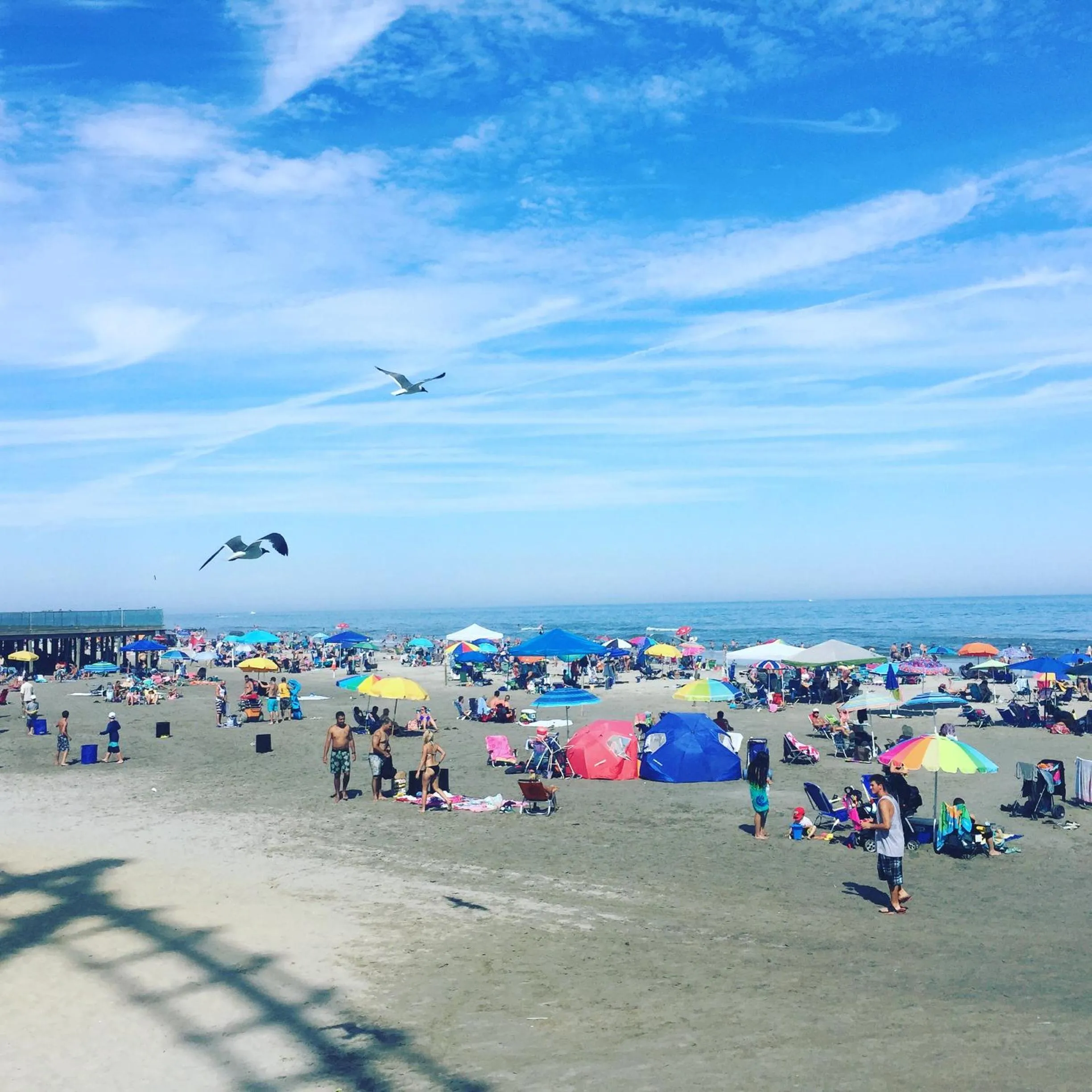 Day in Bird of Paradise Motel