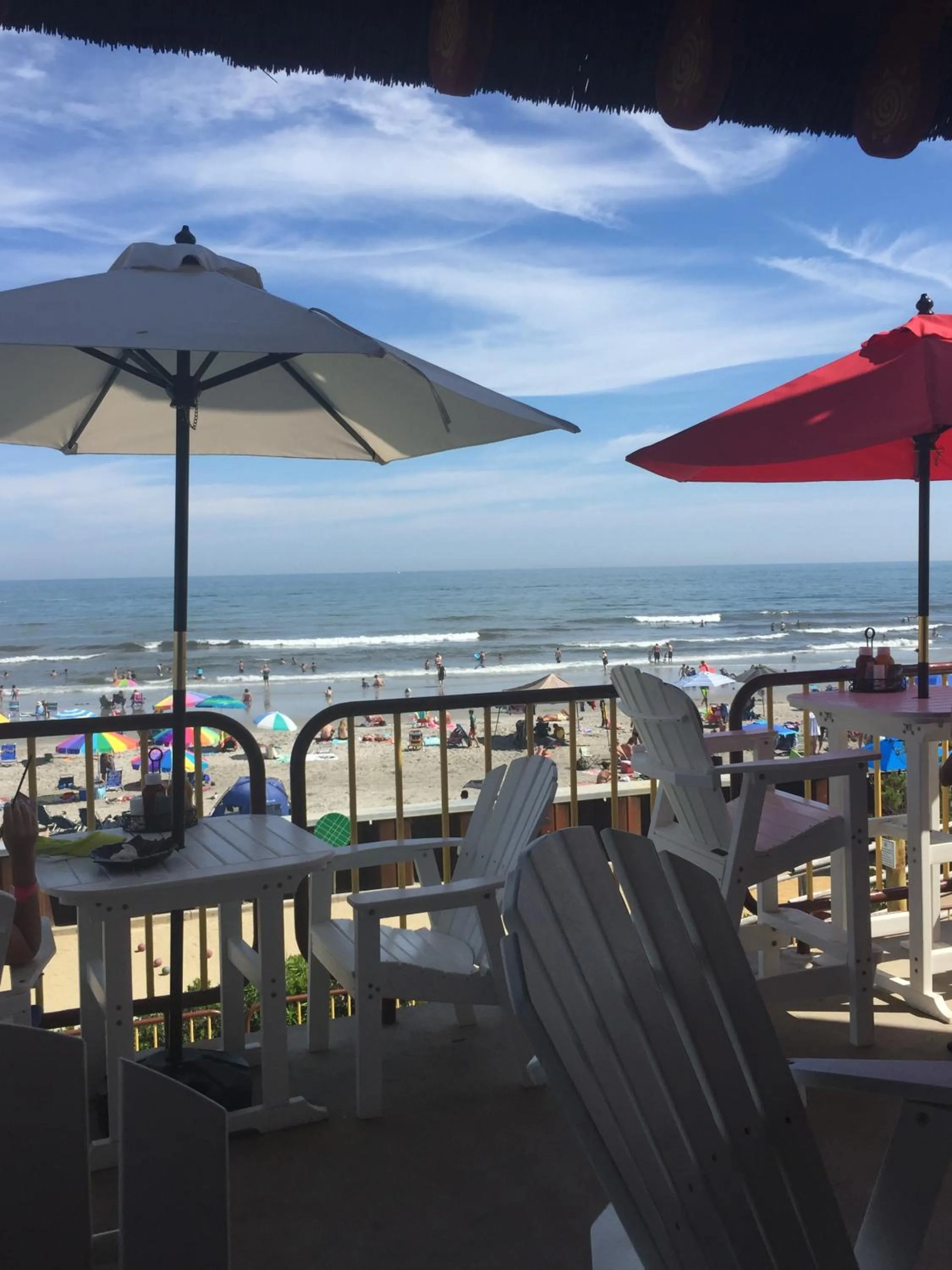 Bird of Paradise Motel