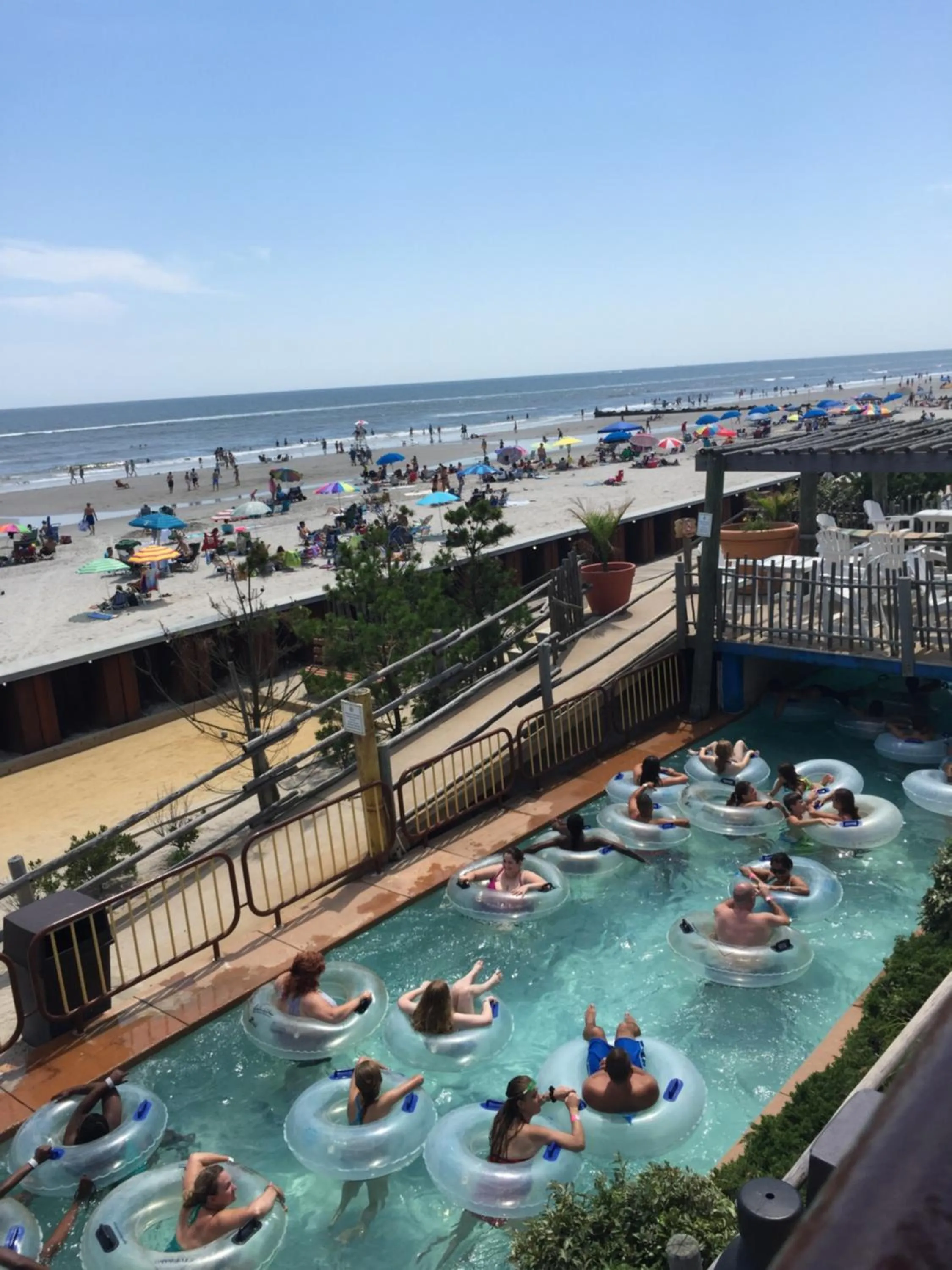 Bird of Paradise Motel