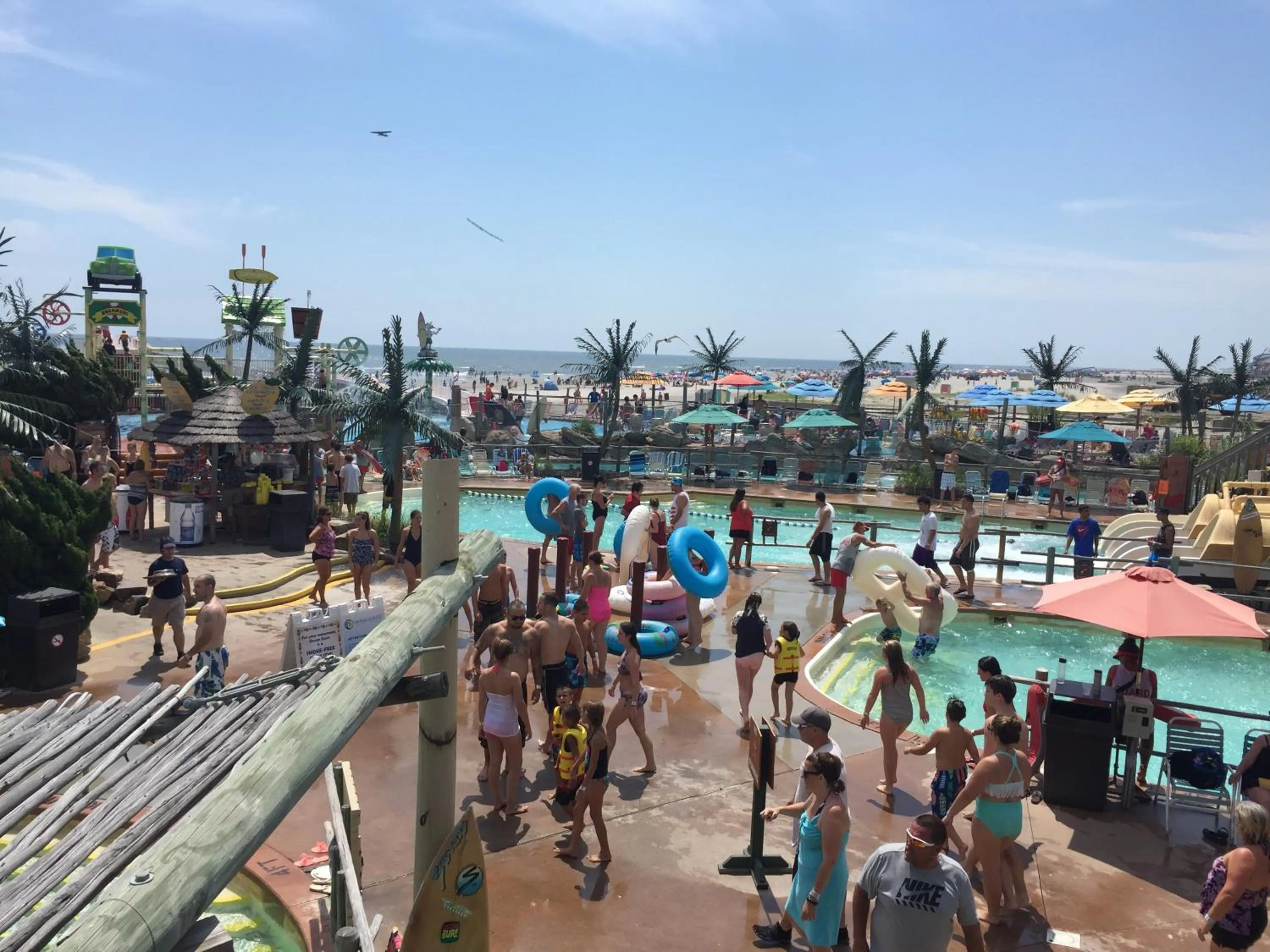 Bird of Paradise Motel